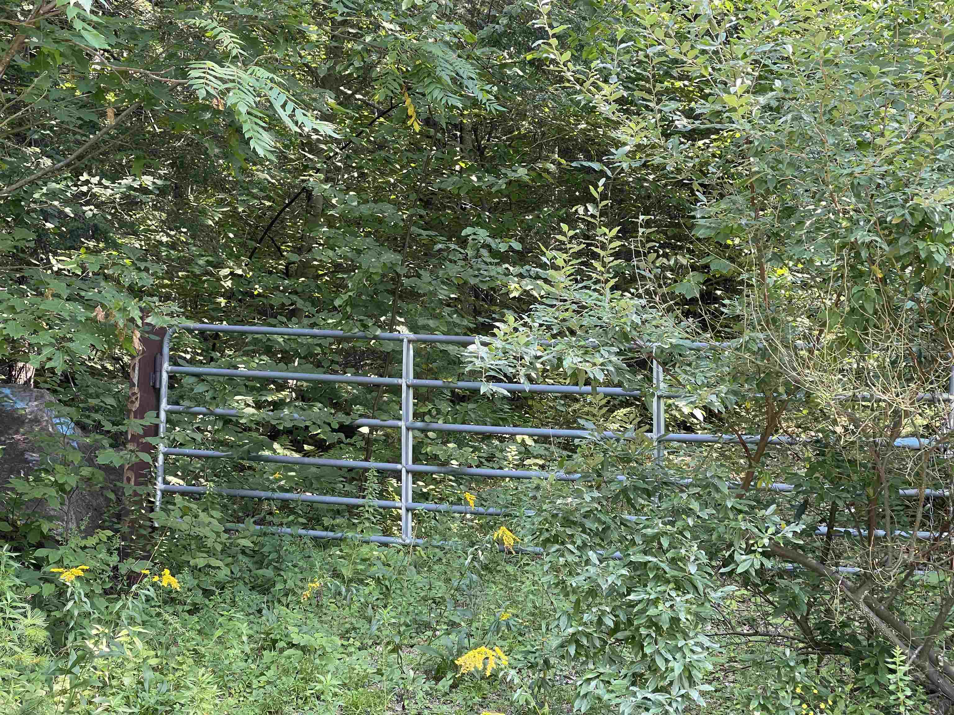 376 Cat Hole Road Claremont, NH 03743 - Photo 7 of 14