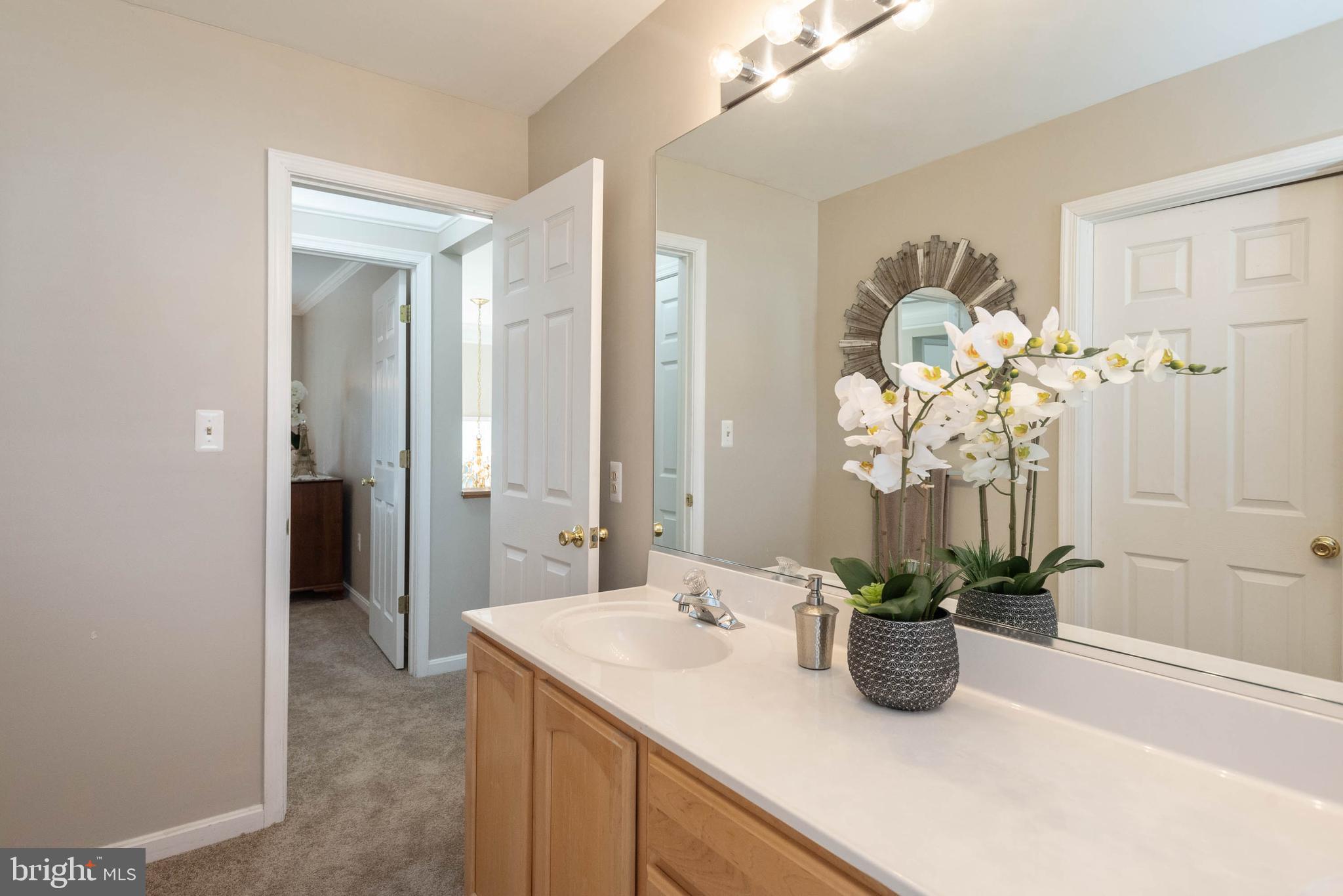 8608 Ashcroft Drive Laurel, MD 20708 - Photo 35 of 45 a bathroom with a sink a mirror and a shower
