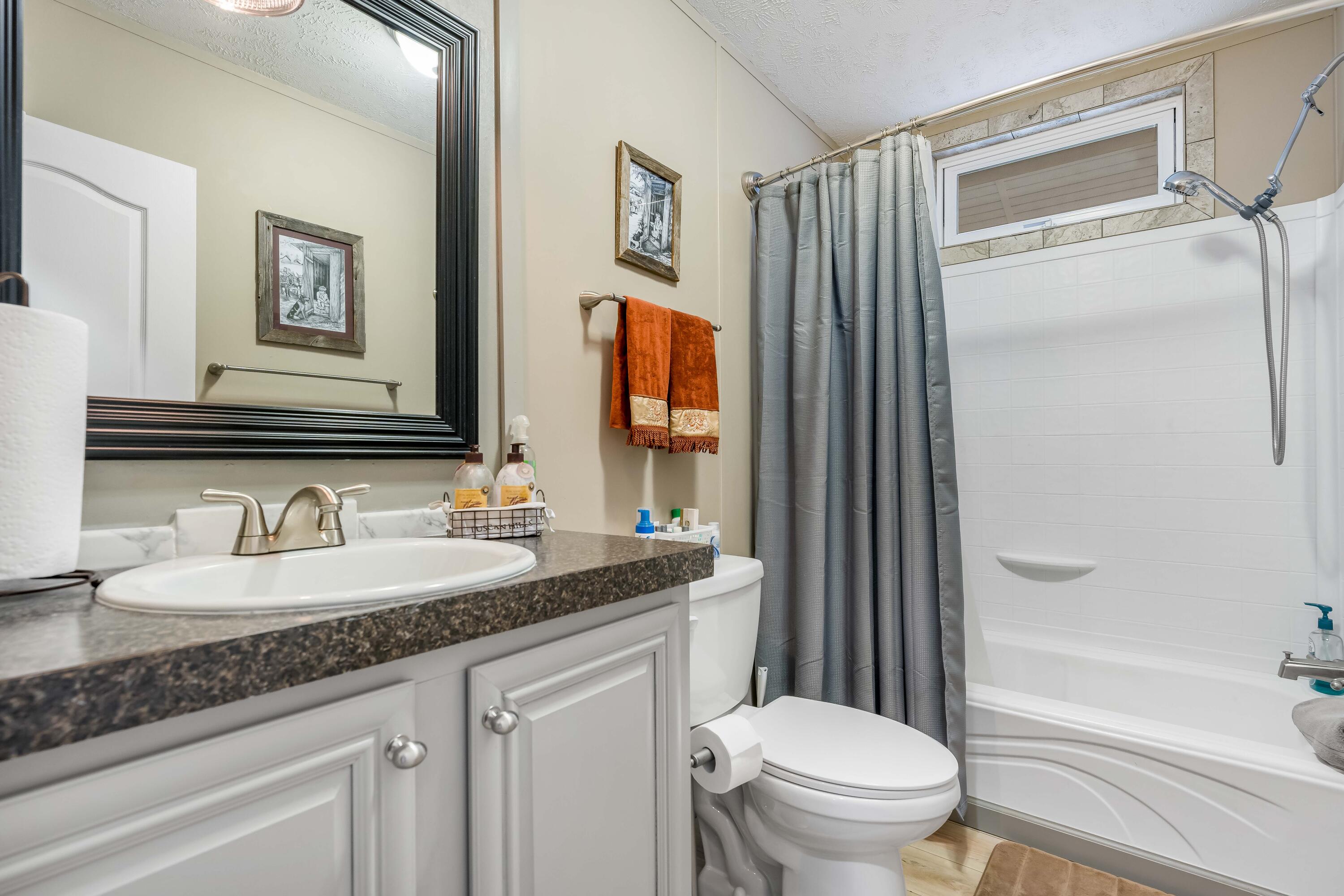 2562 Divide Road Mountain City, TN 37683 - Photo 53 of 90 Bathroom