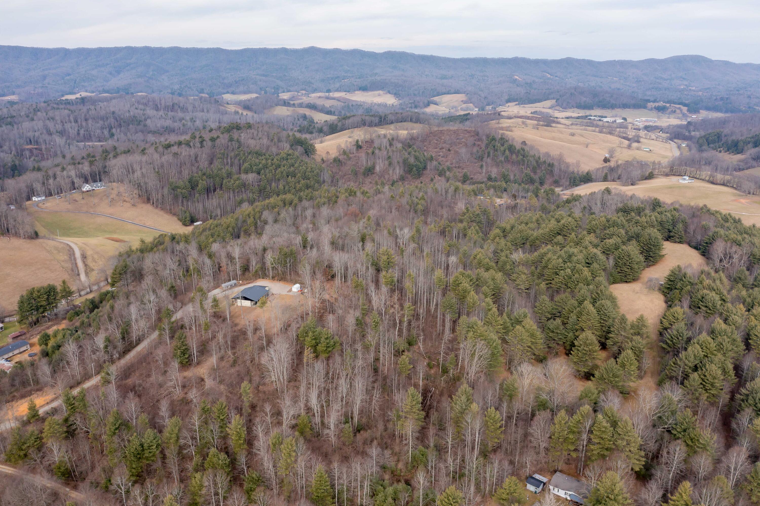 2562 Divide Road Mountain City, TN 37683 - Photo 84 of 90 2562 Divide Rd (8 of 93)