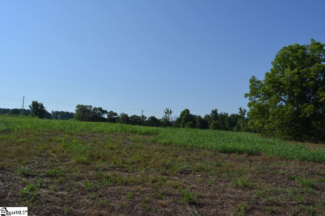 0 Gramling School Road, Unit LOT 4 Inman, SC 29349 - Photo 17 of 26