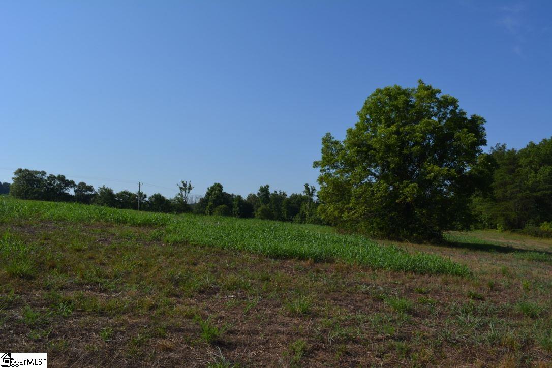 0 Gramling School Road, Unit LOT 4 Inman, SC 29349 - Photo 18 of 26