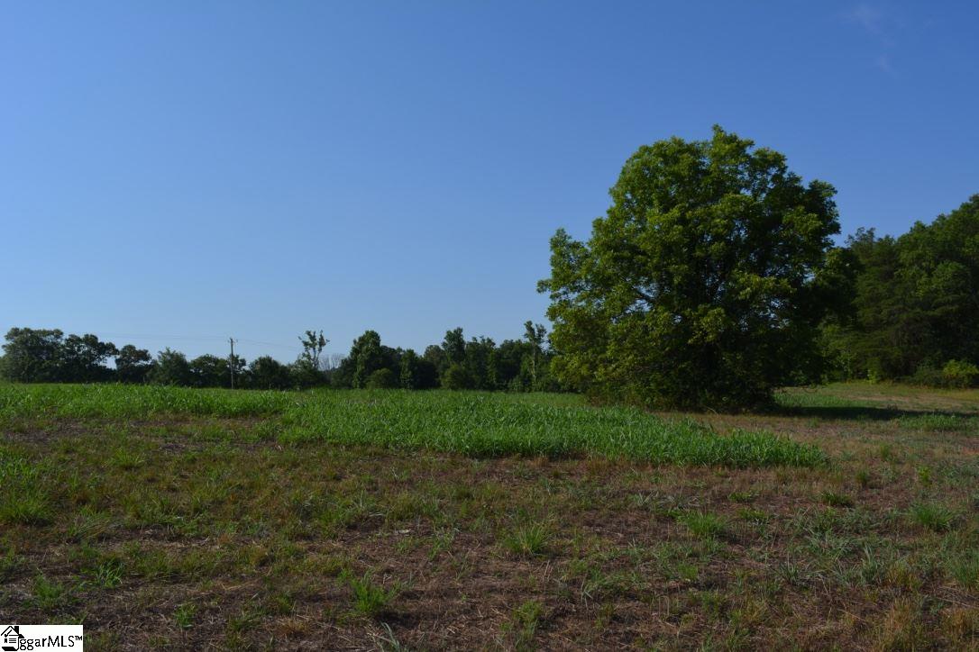 0 Gramling School Road, Unit LOT 4 Inman, SC 29349 - Photo 19 of 26