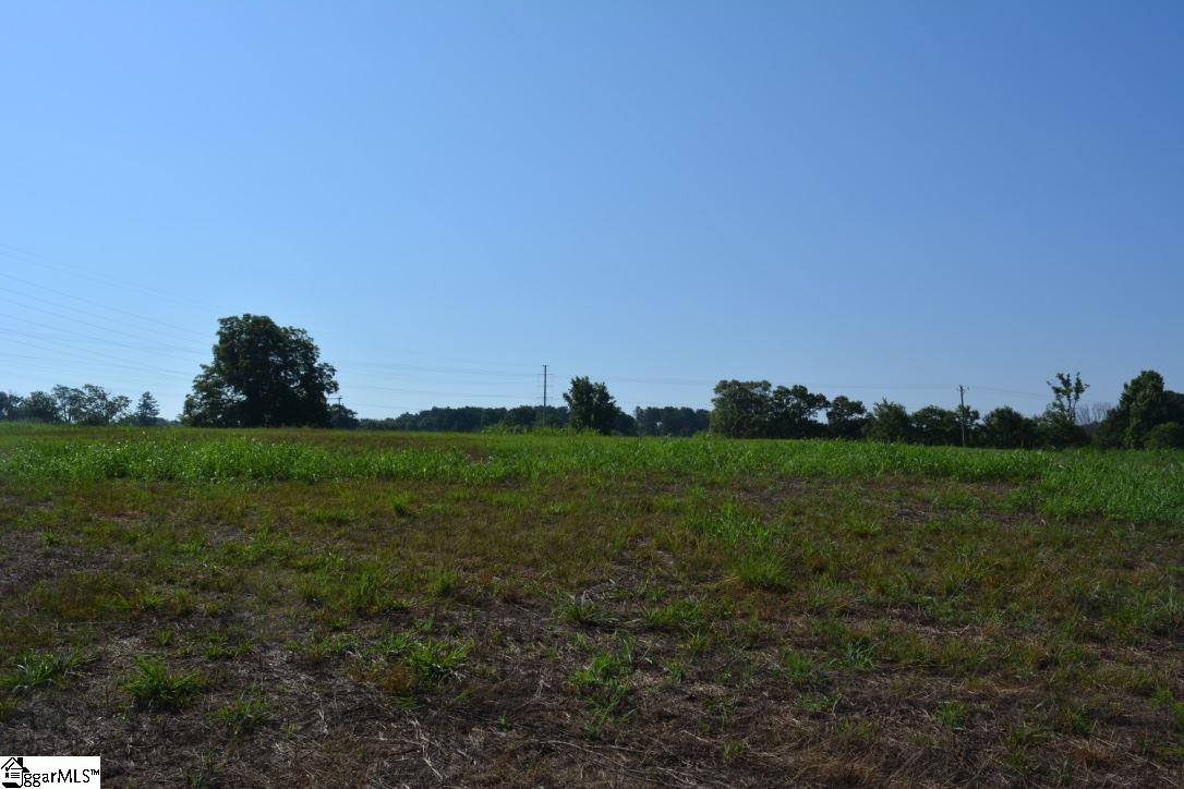 0 Gramling School Road, Unit LOT 4 Inman, SC 29349 - Photo 20 of 26