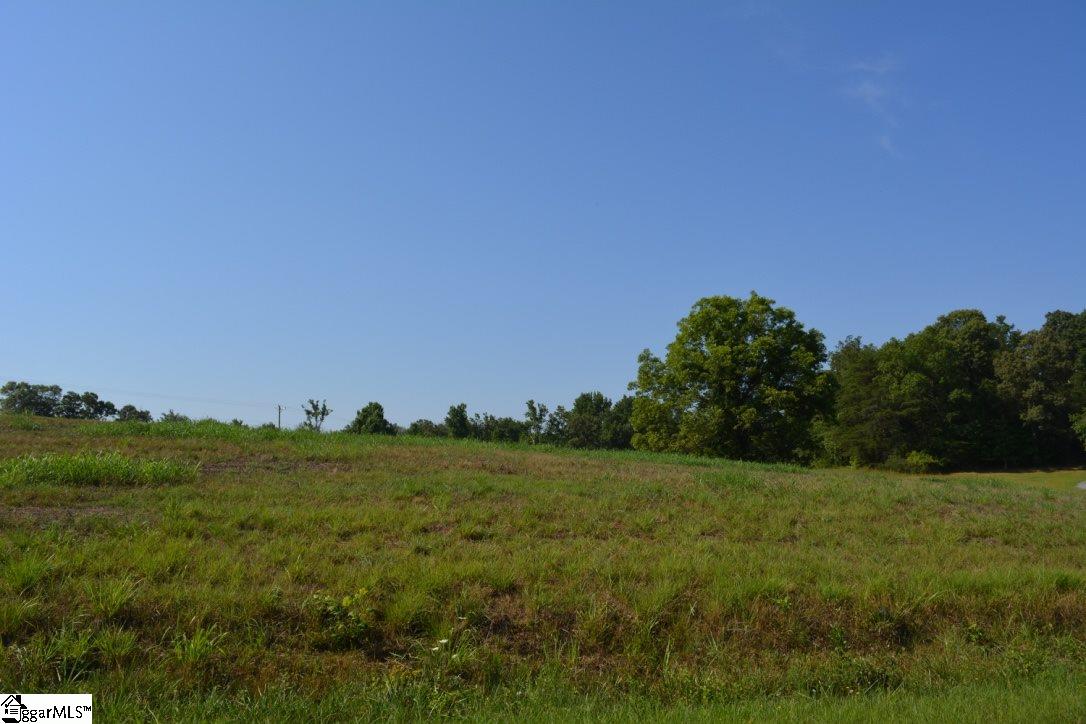 0 Gramling School Road, Unit LOT 4 Inman, SC 29349 - Photo 23 of 26