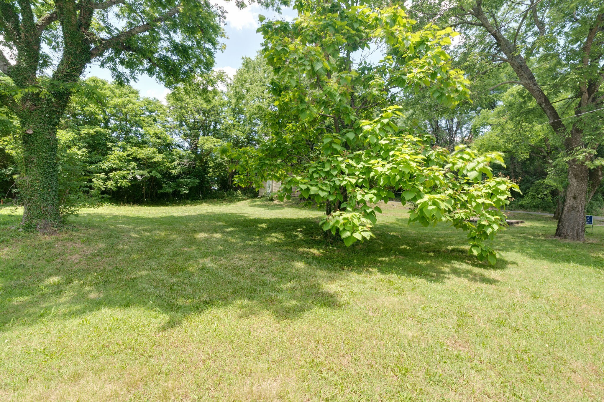 601 Bullock Street Columbia, TN 38401 - Photo 2 of 16 a view of yard with green space
