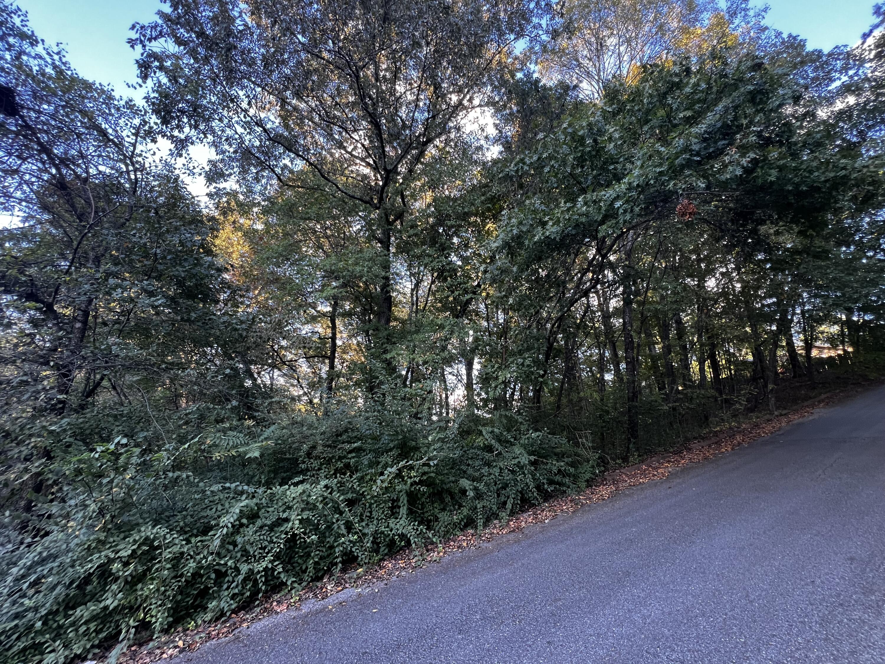 6604 Declaration Drive Hixson, TN 37343 - Photo 4 of 8 IMG_7791