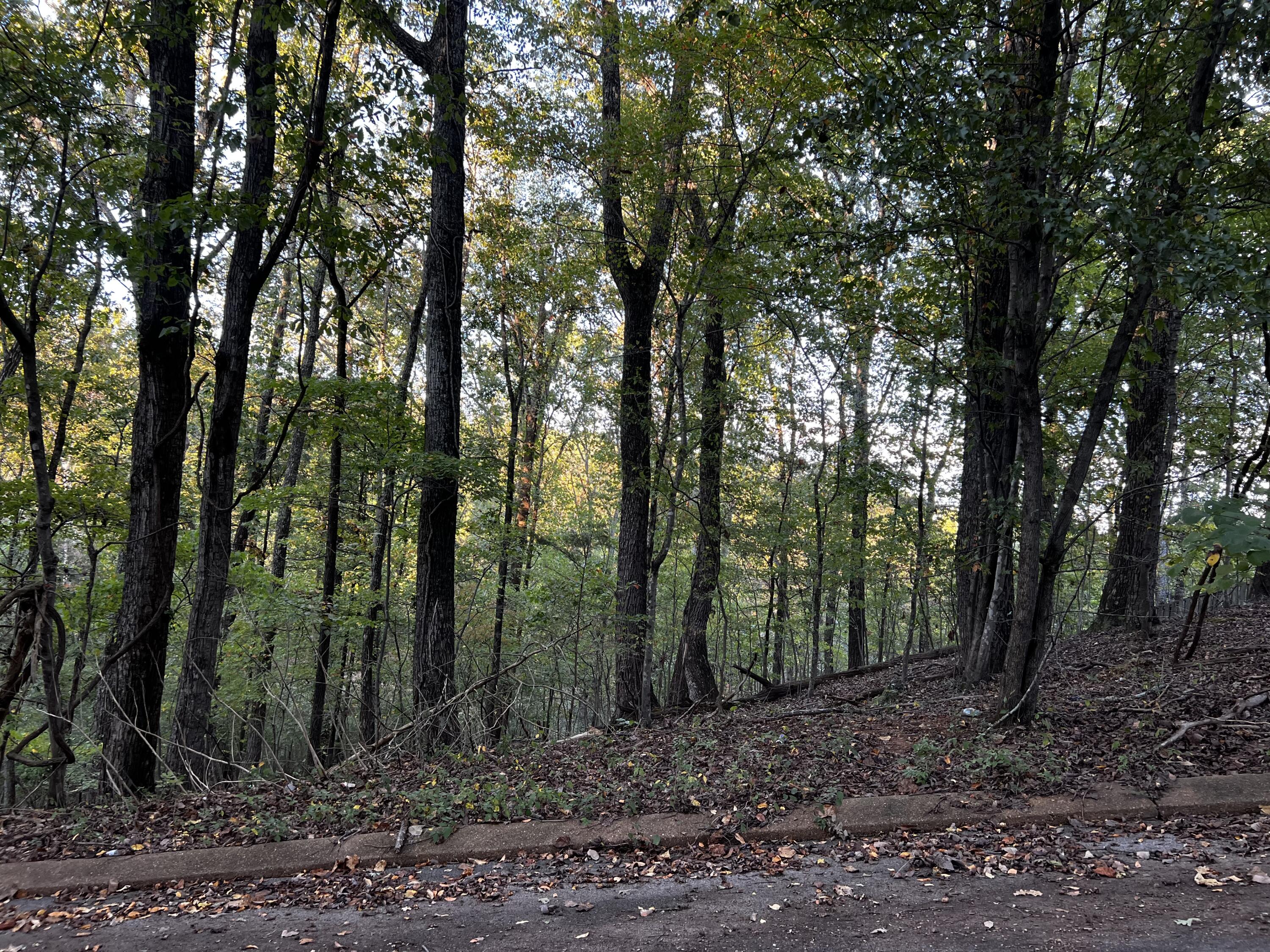 6604 Declaration Drive Hixson, TN 37343 - Photo 5 of 8 IMG_7797