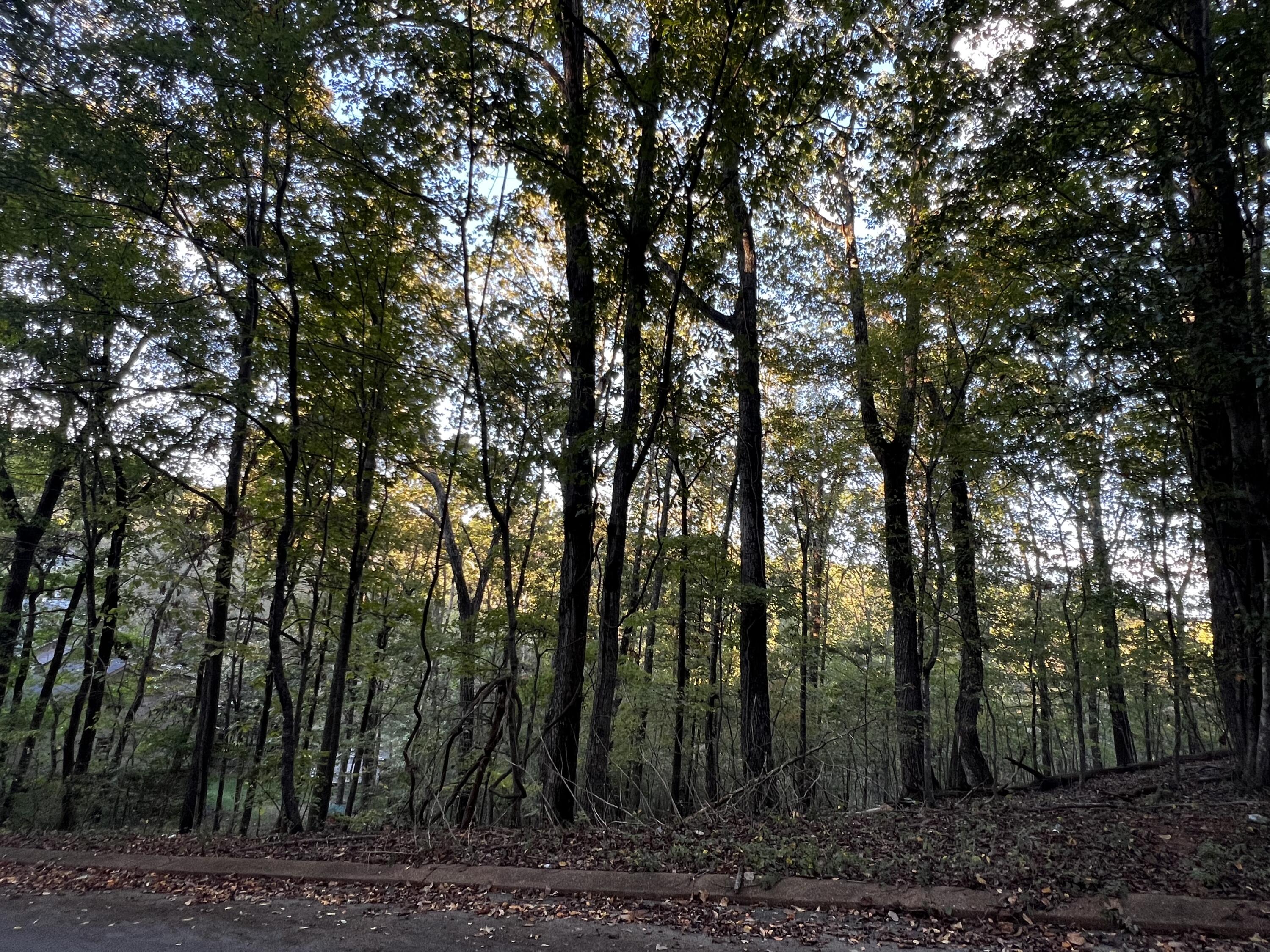 6604 Declaration Drive Hixson, TN 37343 - Photo 7 of 8 IMG_7802