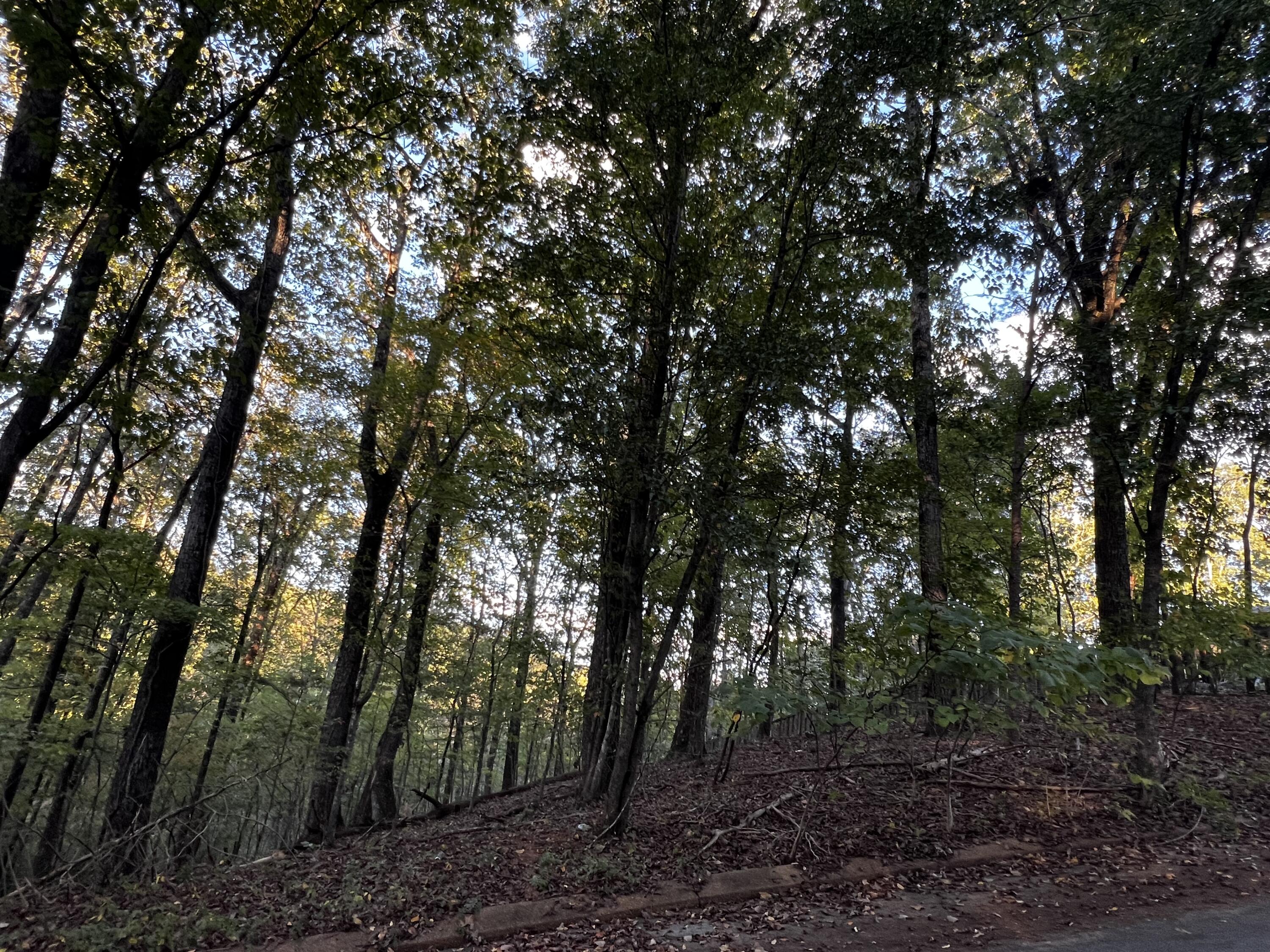 6604 Declaration Drive Hixson, TN 37343 - Photo 8 of 8 IMG_7801