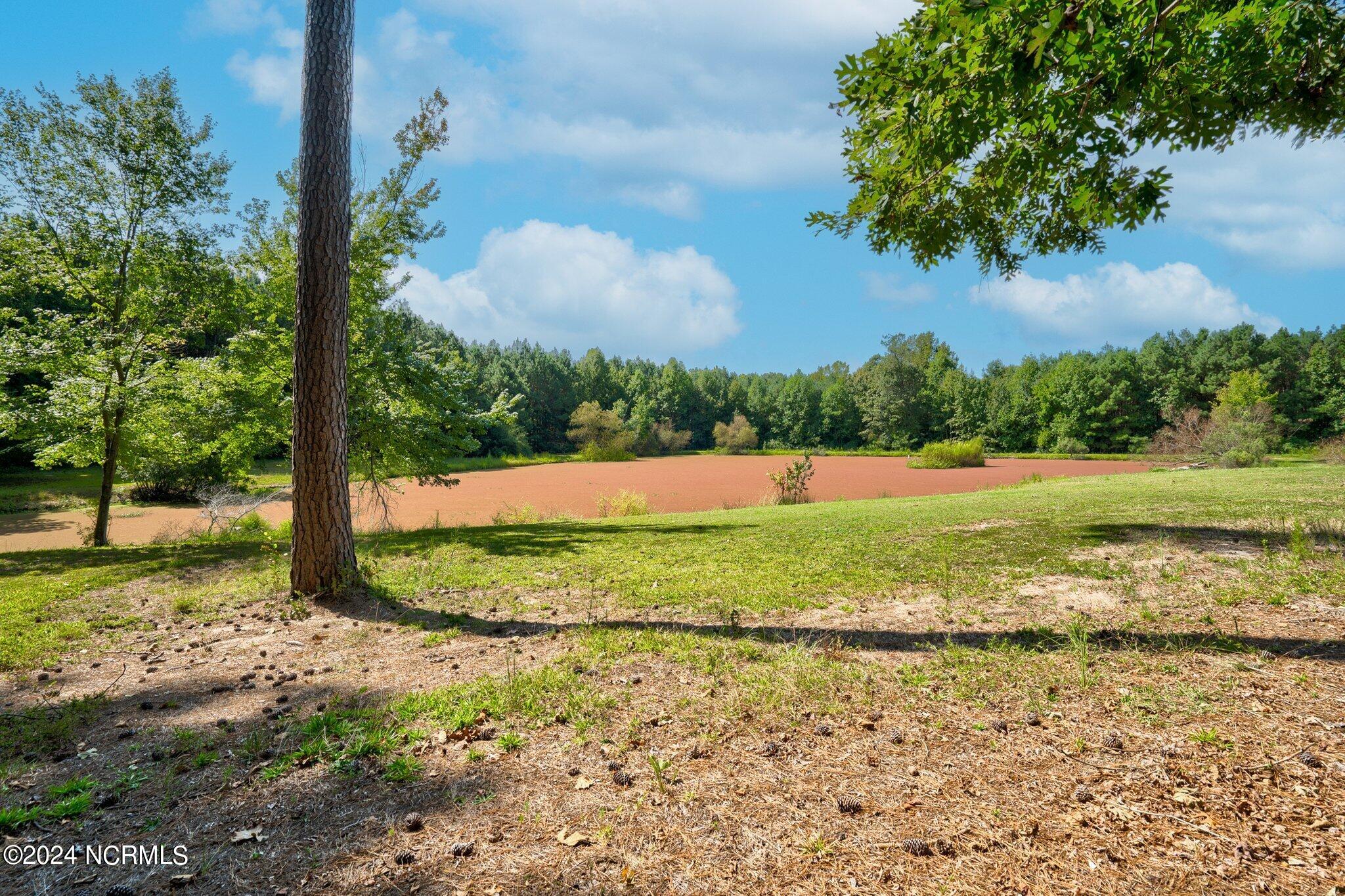 6654 Richardson Road Spring Hope, NC 27882 - Photo 34 of 53 049-6654RichardsonRoad-SpringHope-NC-278