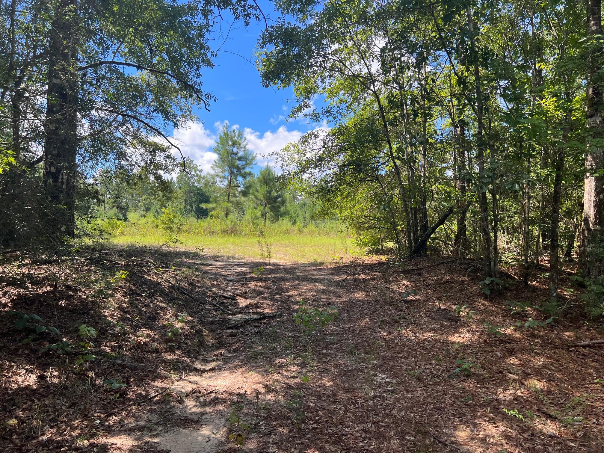 30-ac Brake Road Ponce de Leon, FL 32455 - Photo 26 of 54 IMG_5571