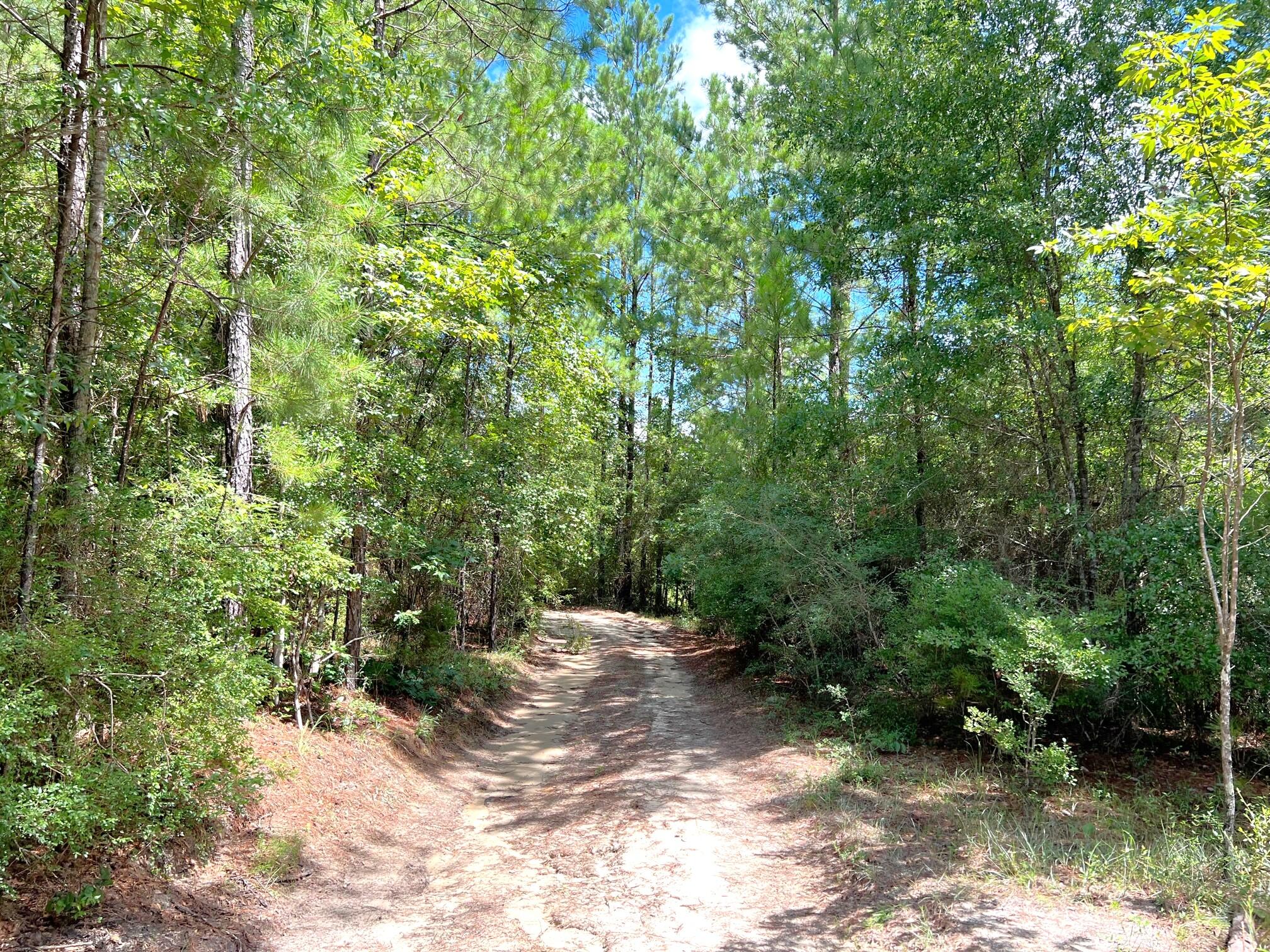 30-ac Brake Road Ponce de Leon, FL 32455 - Photo 5 of 54 Property Entrance (4)