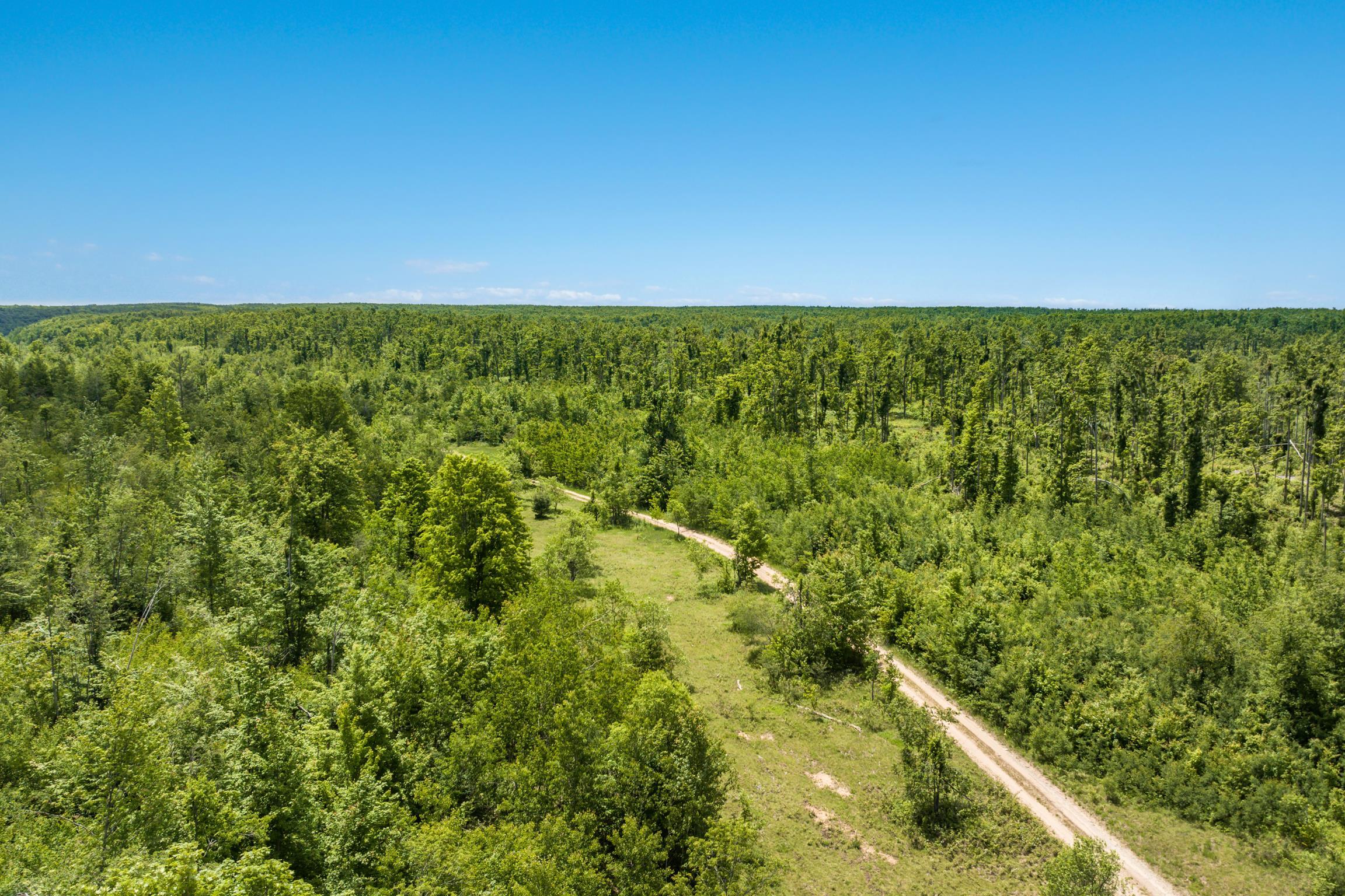 0 Mt Frederick Road Frederic, MI 49733 - Photo 11 of 17 1947156-0ae0425e-4460-41fa-839f-33d4848febf2.JPG