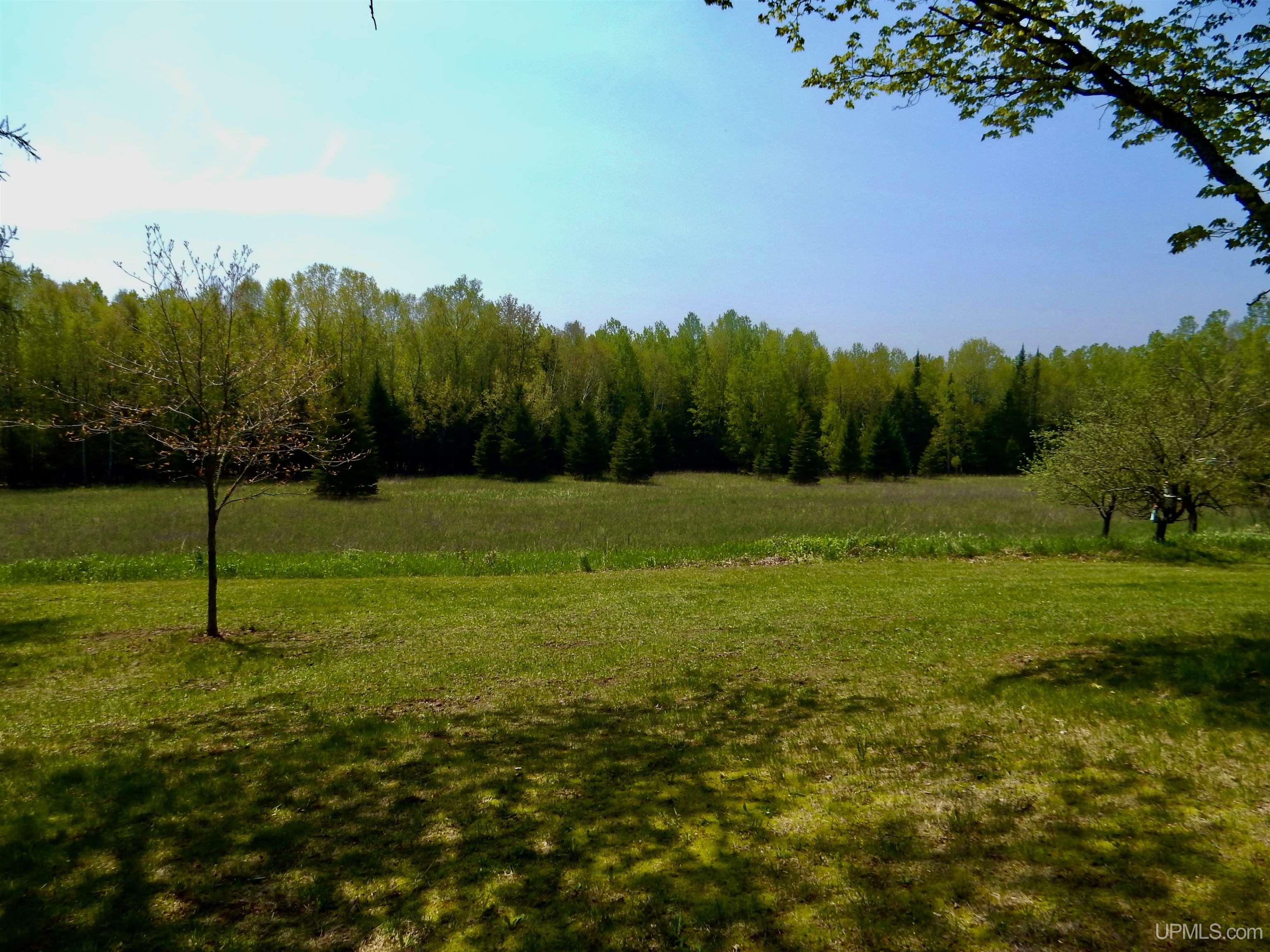 8950 Wolfe Road Germfask, MI 49836 - Photo 48 of 58 Gallery Image 48