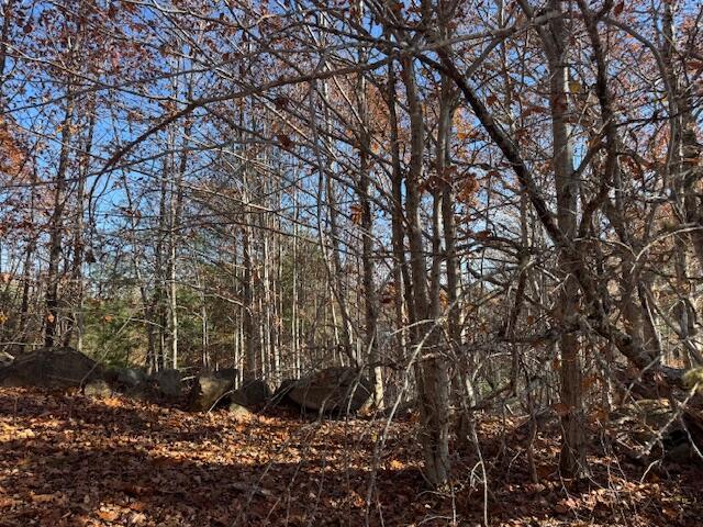R12-l50-1 Tolman Road Warren, ME 04864 - Photo 3 of 5 IMG_3216 - Copy