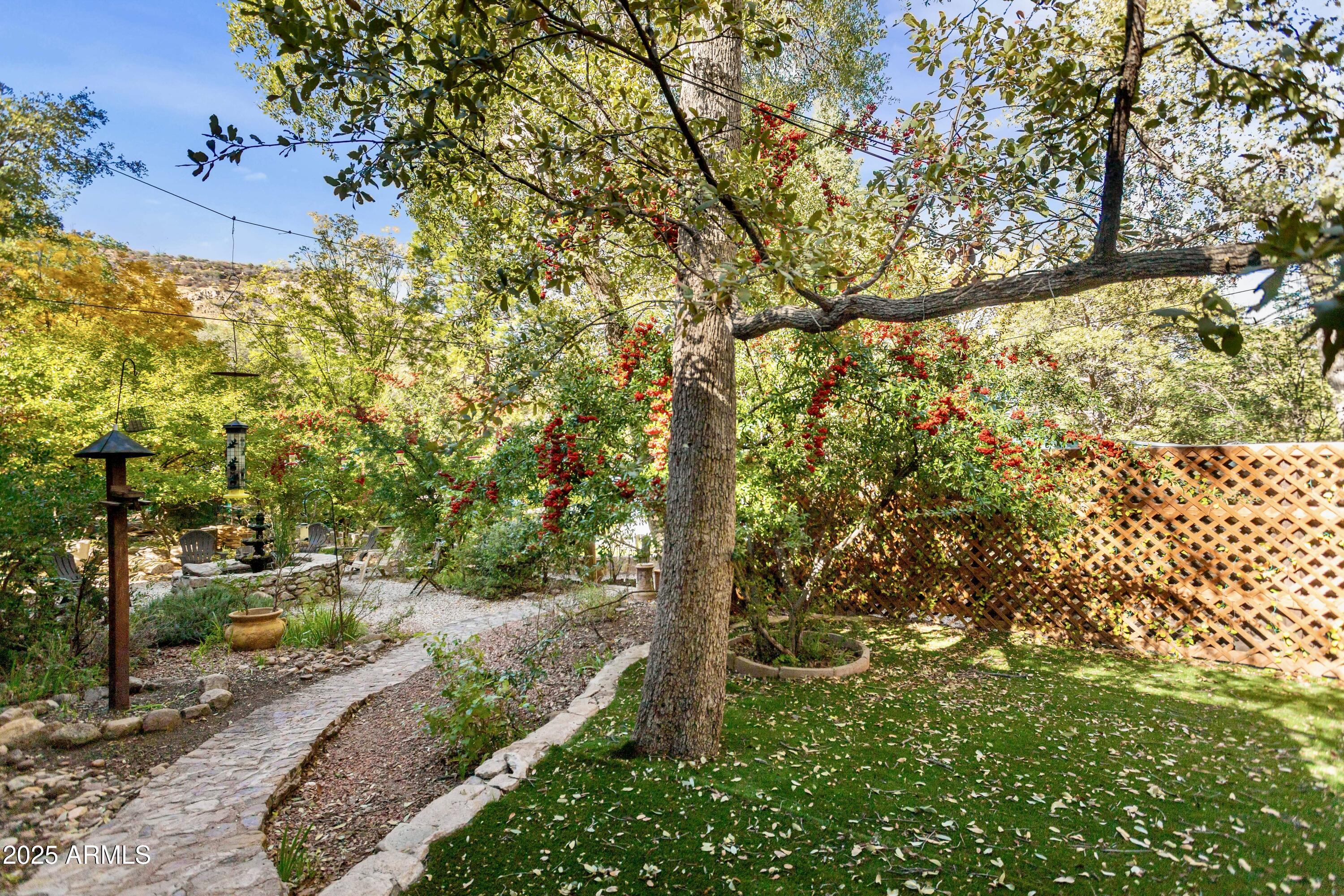 29 East Ramsey Canyon Road Hereford, AZ 85615 - Photo 110 of 119 Backyard