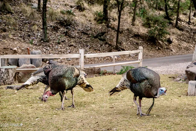 $1,500,000 | 29 East Ramsey Canyon Road, Hereford, AZ 85615