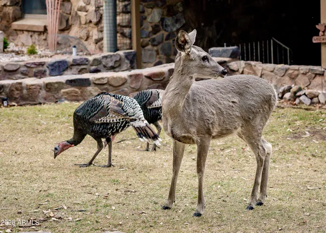 a picture of a bathroom with a sink