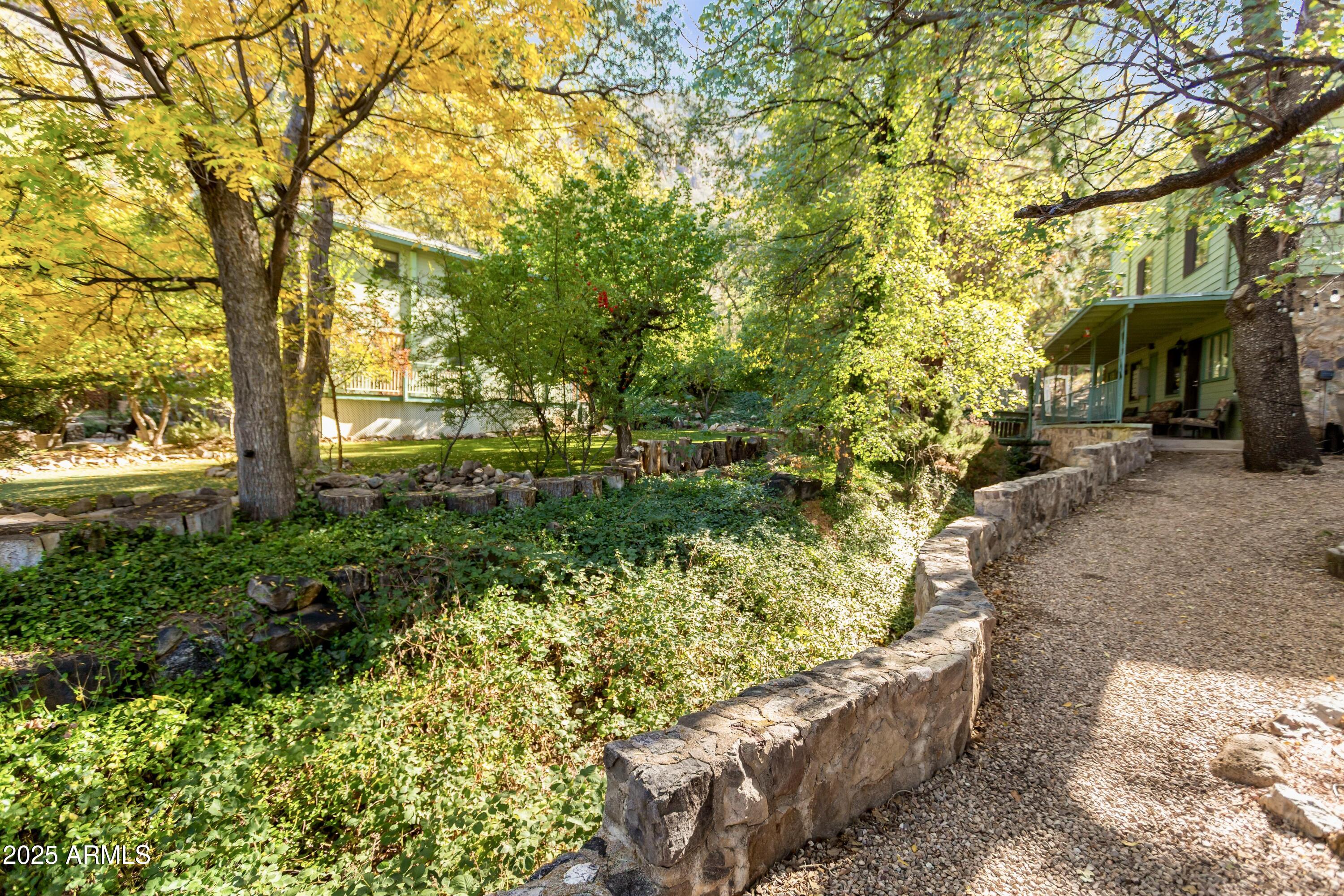 29 East Ramsey Canyon Road Hereford, AZ 85615 - Photo 45 of 119 a view of a garden with plants and large trees
