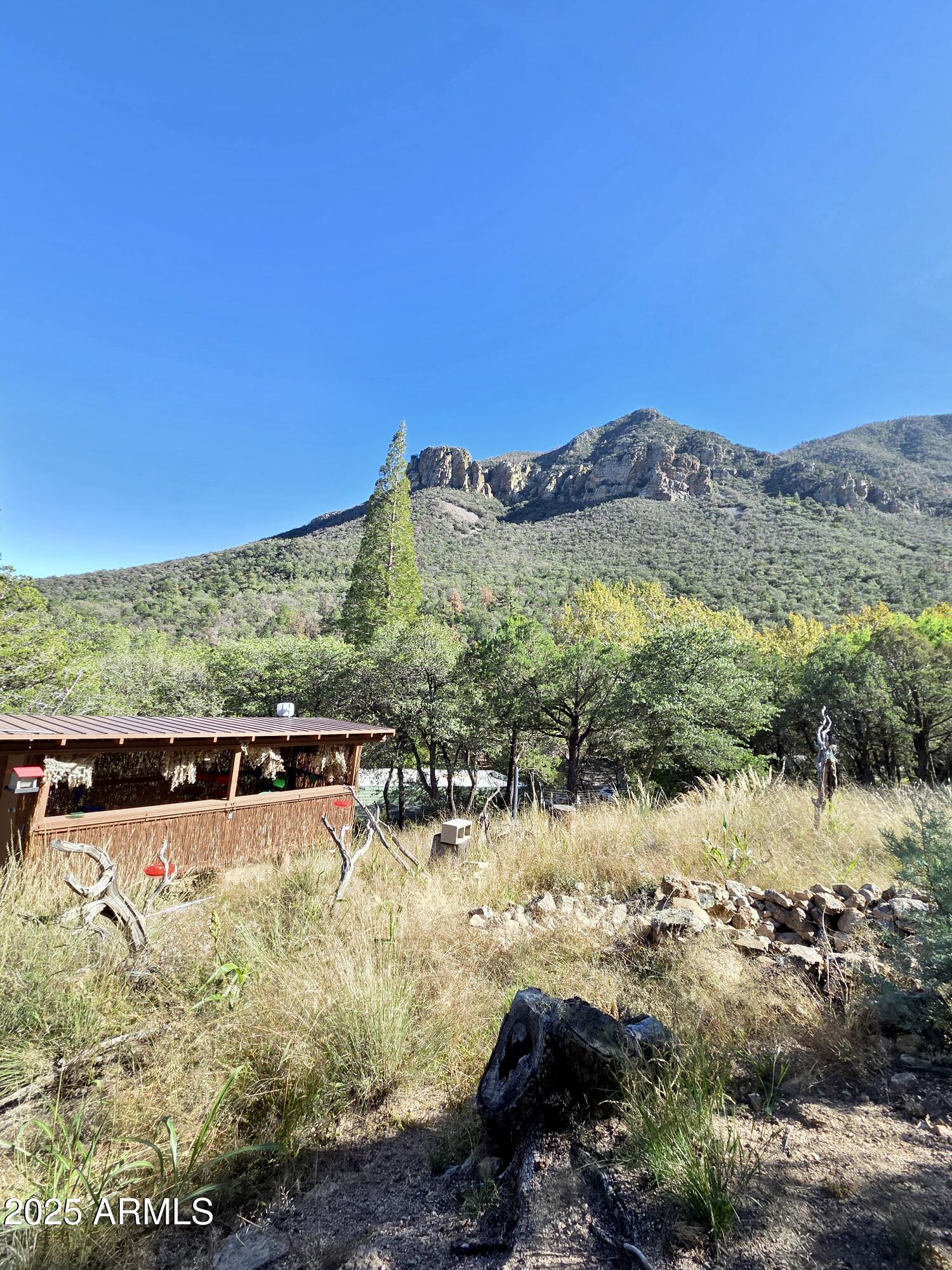 29 East Ramsey Canyon Road Hereford, AZ 85615 - Photo 77 of 119 Bird Blind