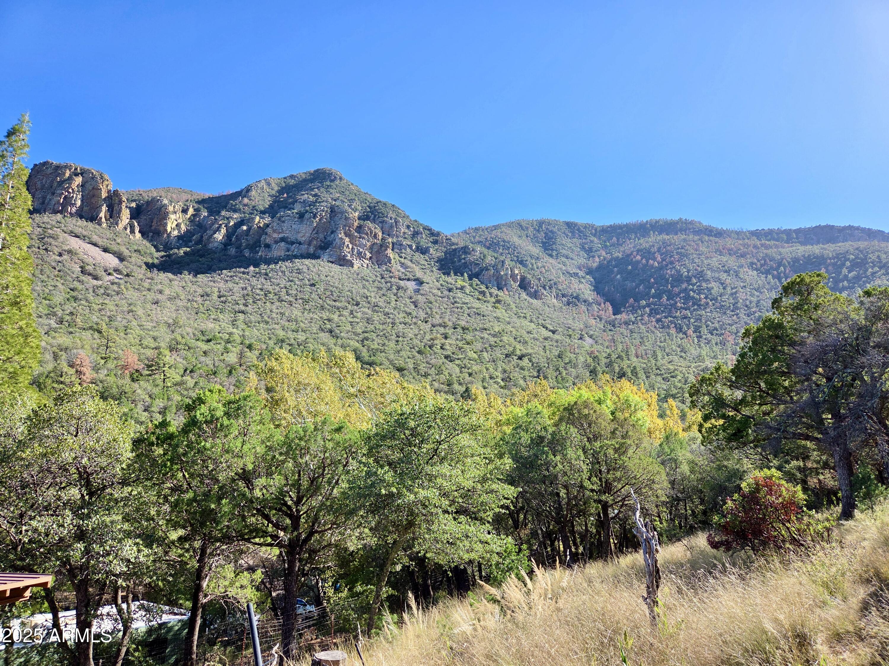 29 East Ramsey Canyon Road Hereford, AZ 85615 - Photo 78 of 119 a view of a large mountain with a mountain in the background