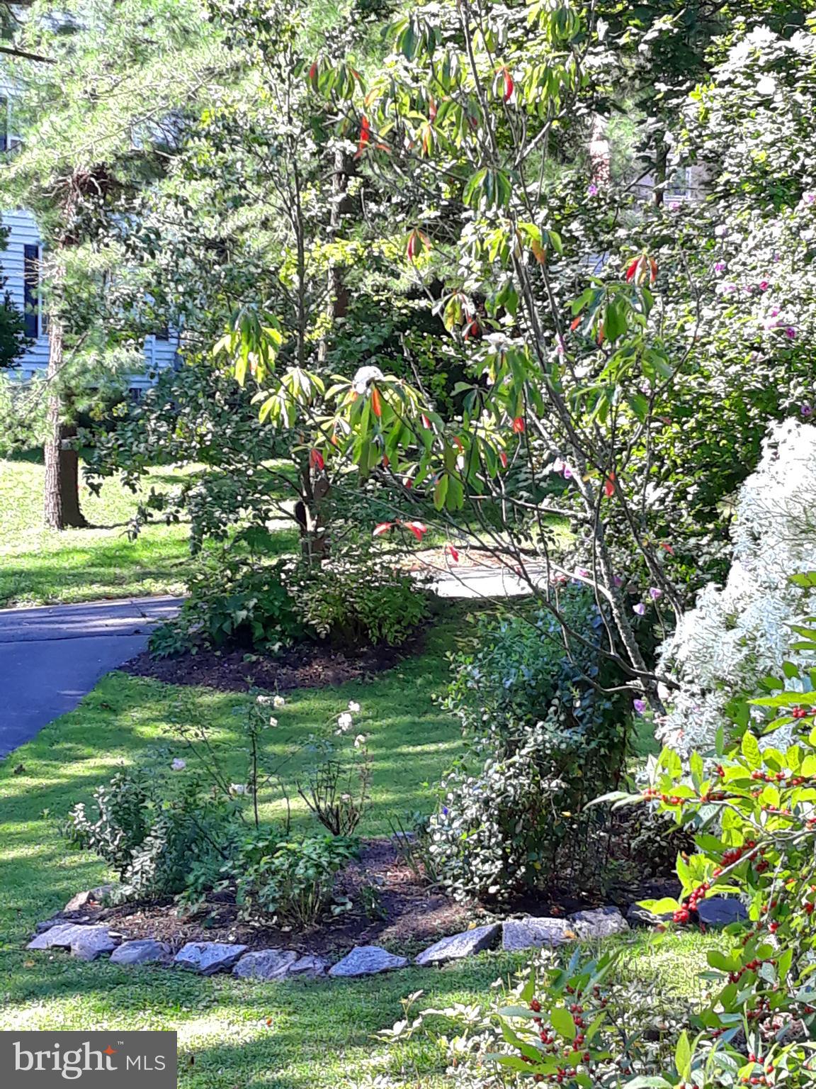 7 Valley View Road Rose Valley, PA 19063 - Photo 28 of 45 Spring/summer garden