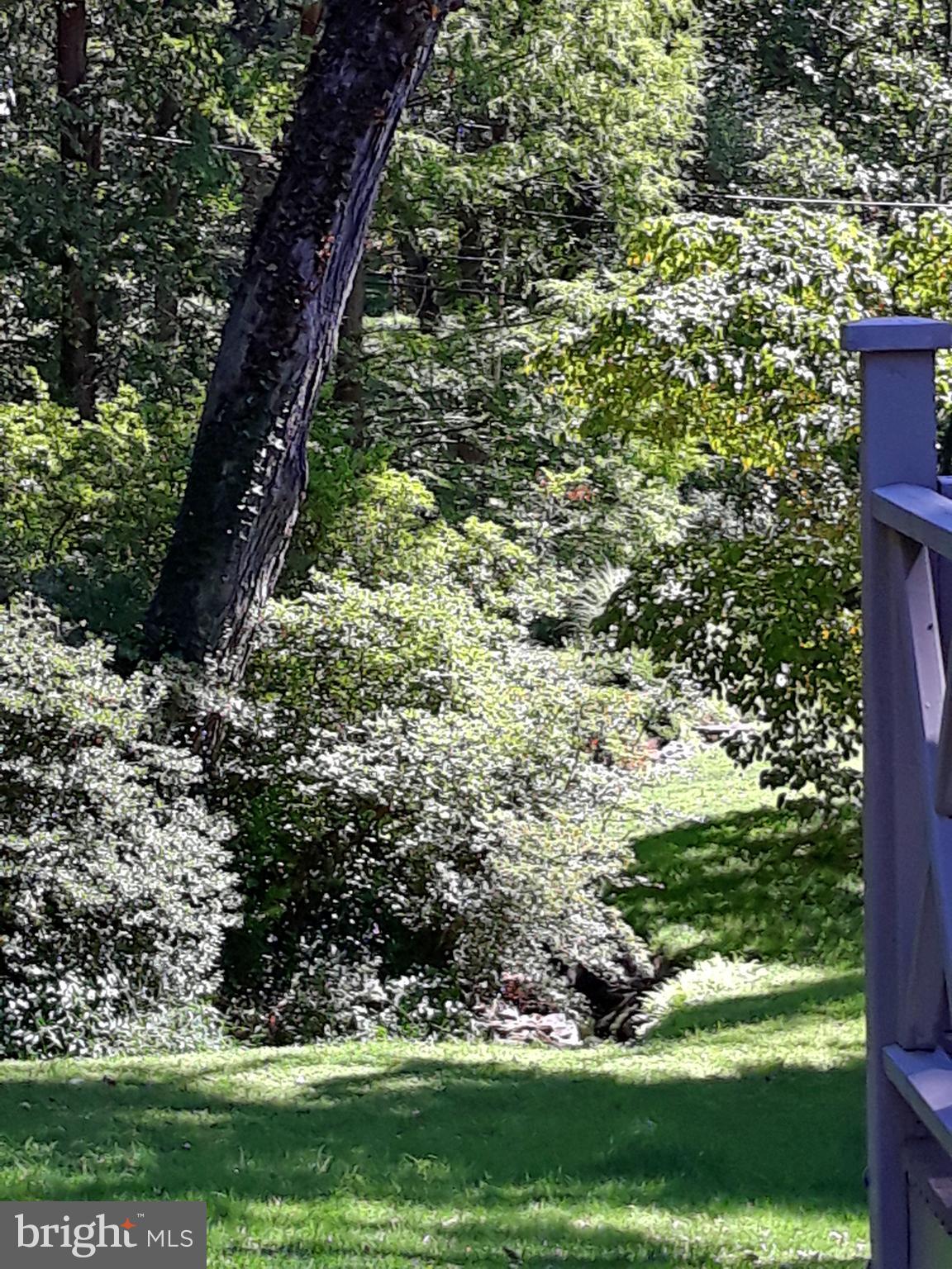 7 Valley View Road Rose Valley, PA 19063 - Photo 29 of 45 Spring/summer landscape
