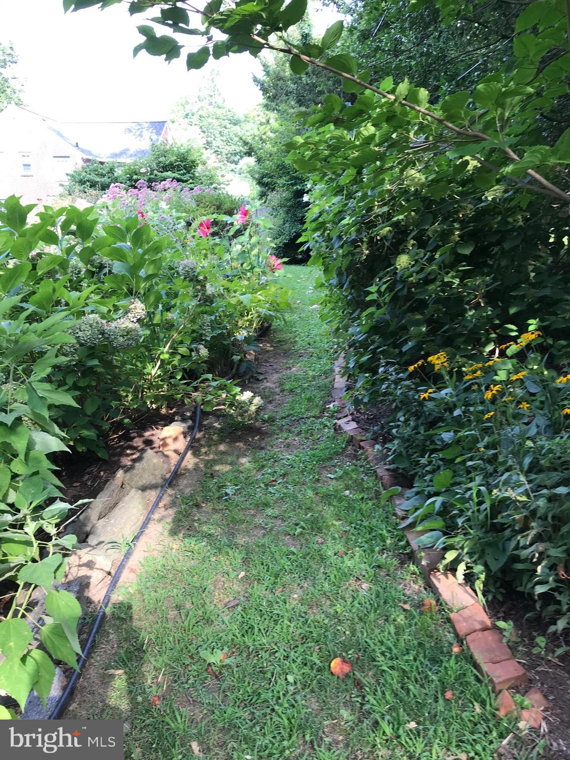 7 Valley View Road Rose Valley, PA 19063 - Photo 31 of 45 Spring/summer garden