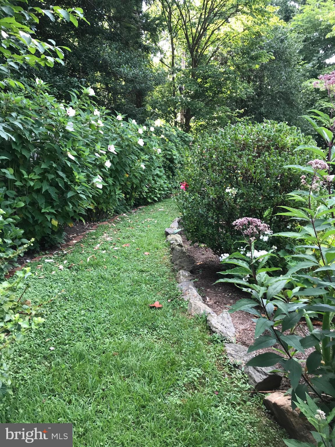 7 Valley View Road Rose Valley, PA 19063 - Photo 32 of 45 Spring/summer garden
