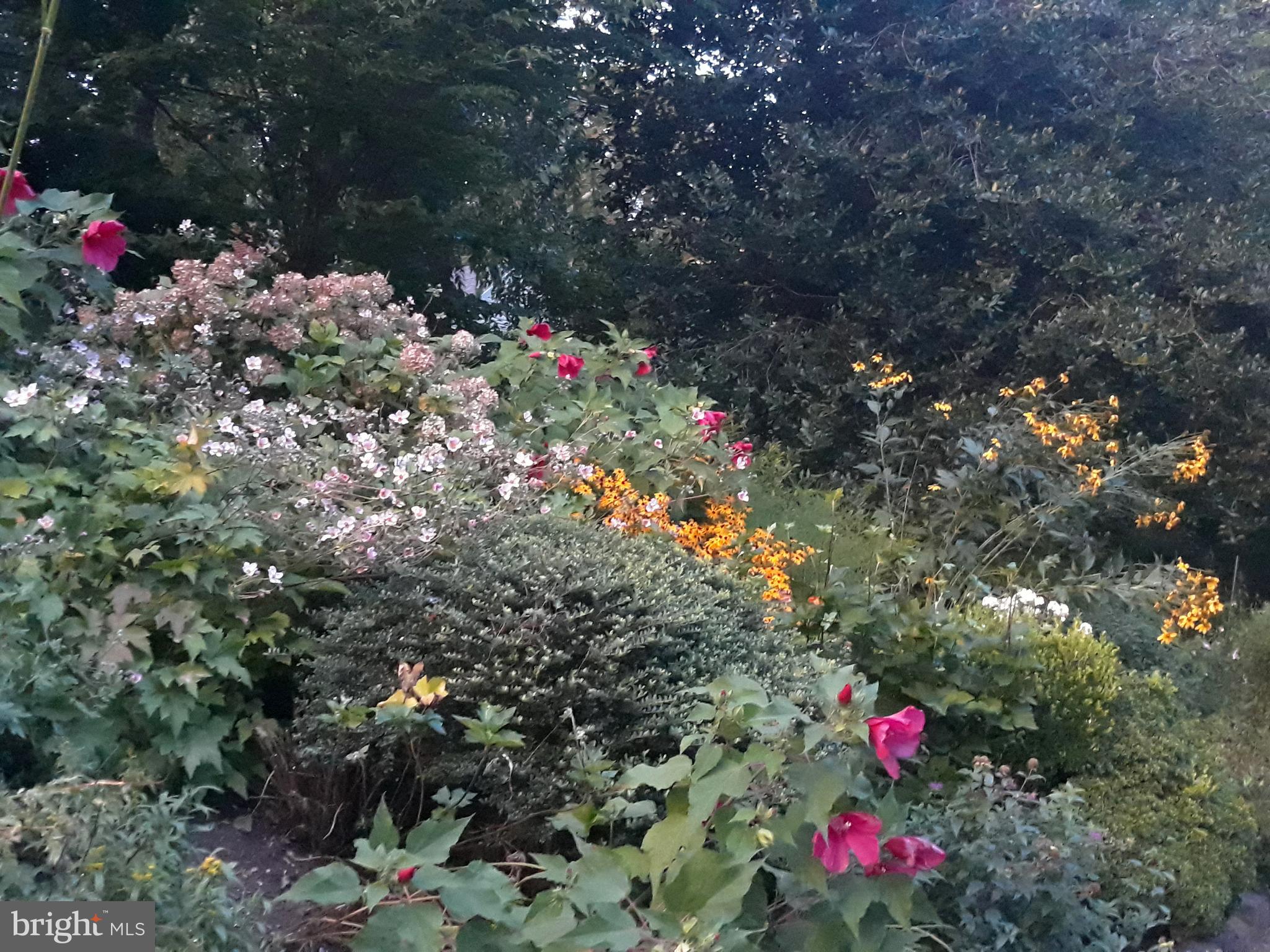 7 Valley View Road Rose Valley, PA 19063 - Photo 34 of 45 Spring/summer garden
