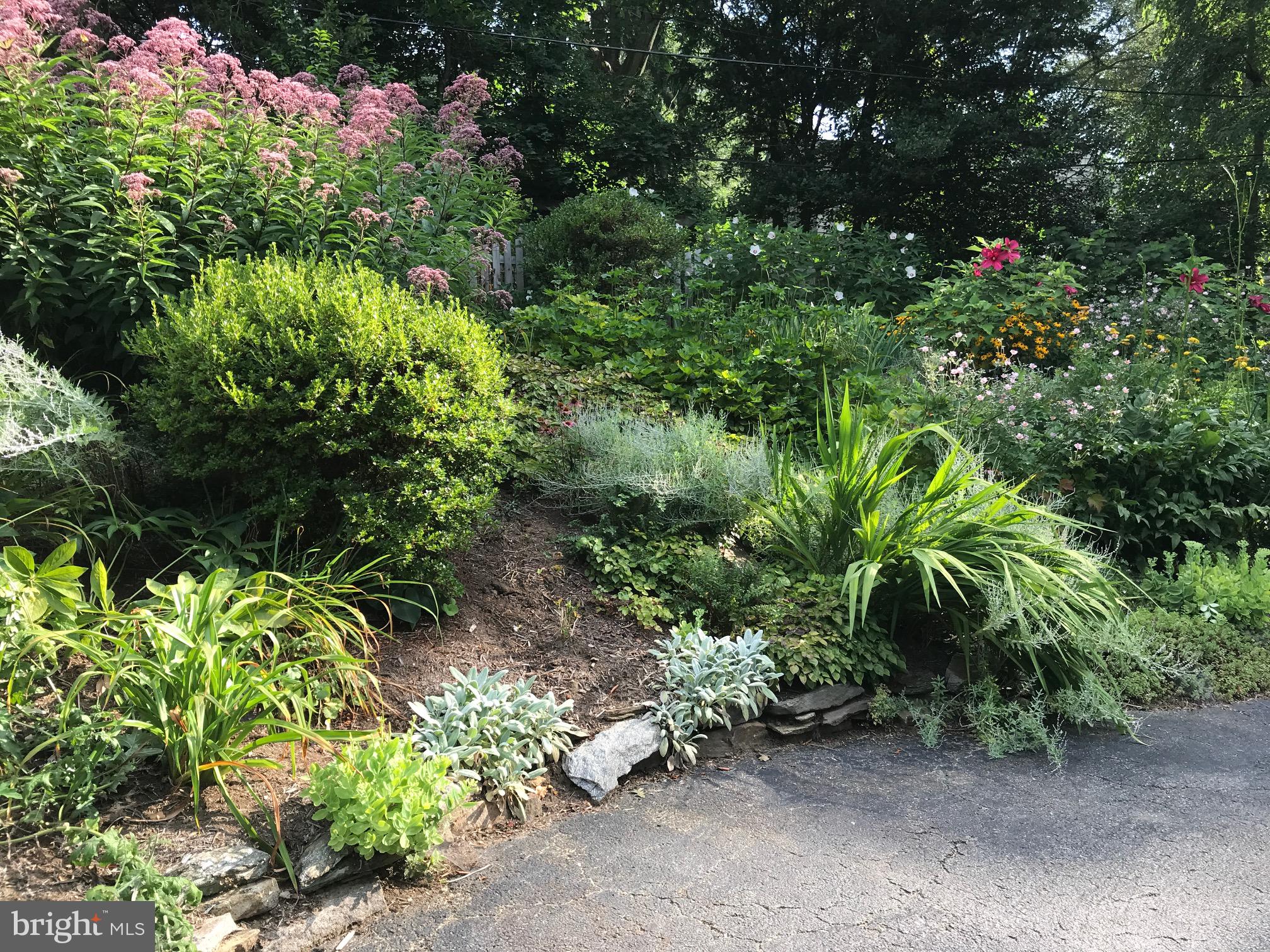 7 Valley View Road Rose Valley, PA 19063 - Photo 5 of 45 Spring/summer garden