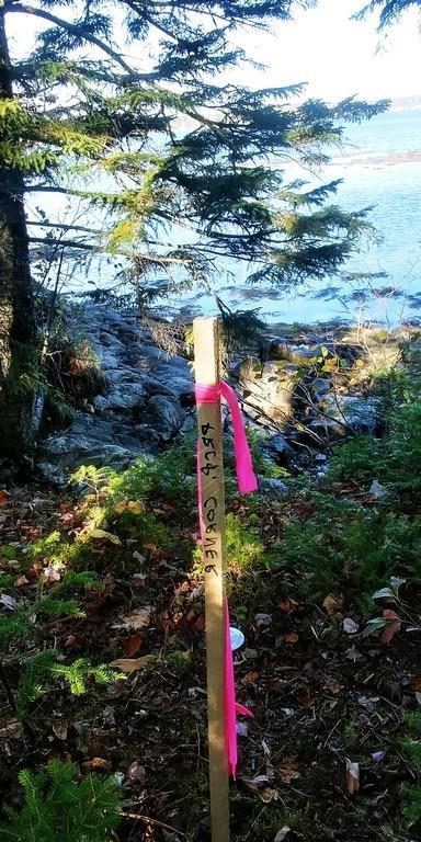 0 Back Shore Road Steuben, ME 04680 - Photo 6 of 16 Photo