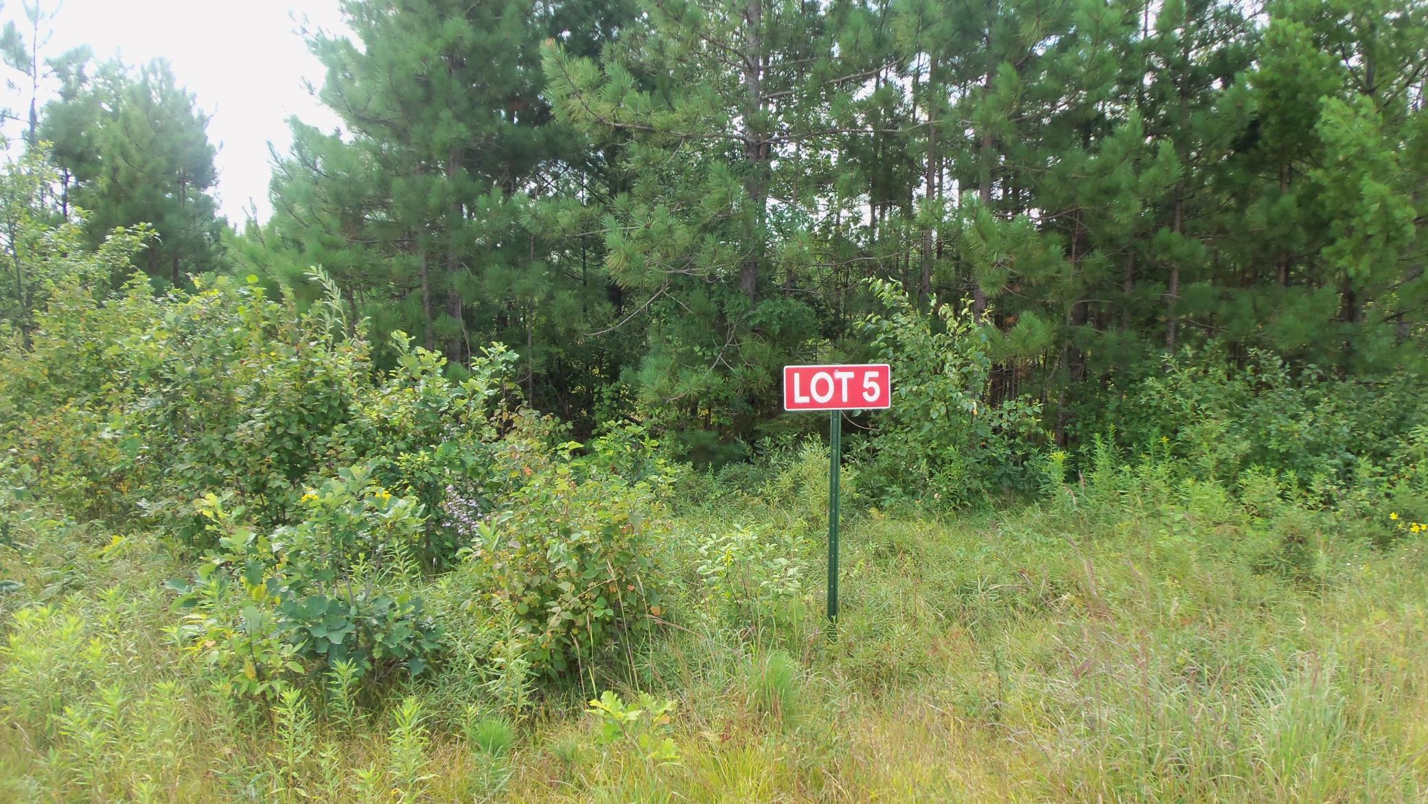 Lot 5 Cty Highway Springbrook, WI 54875 - Photo 1 of 1