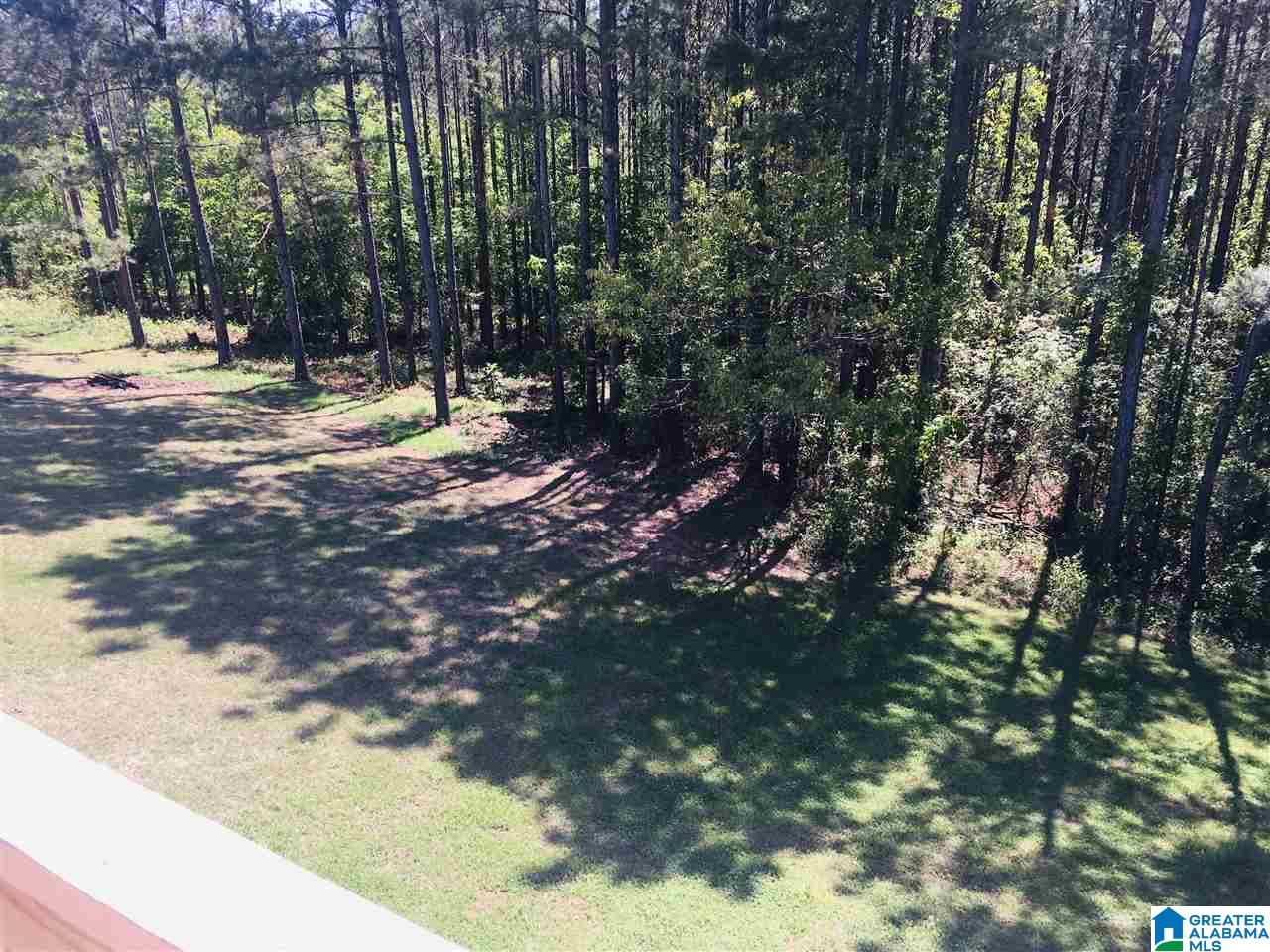 7290 Old Acton Road Moody, AL 35004 - Photo 47 of 48