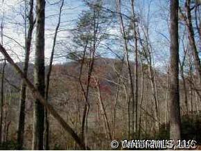 112 R Redwing(3 Lots) Lake Lake Lure, NC 28746 - Photo 4 of 11
