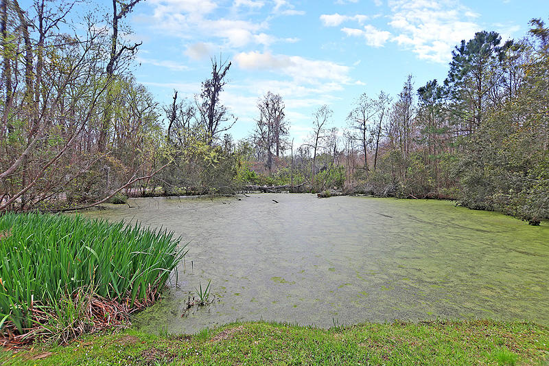 3179 State Rd S-10-1632 Johns Island, SC 29455 - Photo 44 of 61 IMG_8767-copy