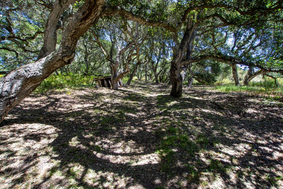425 Echo Valley Road Salinas, CA 93907 - Photo 38 of 60