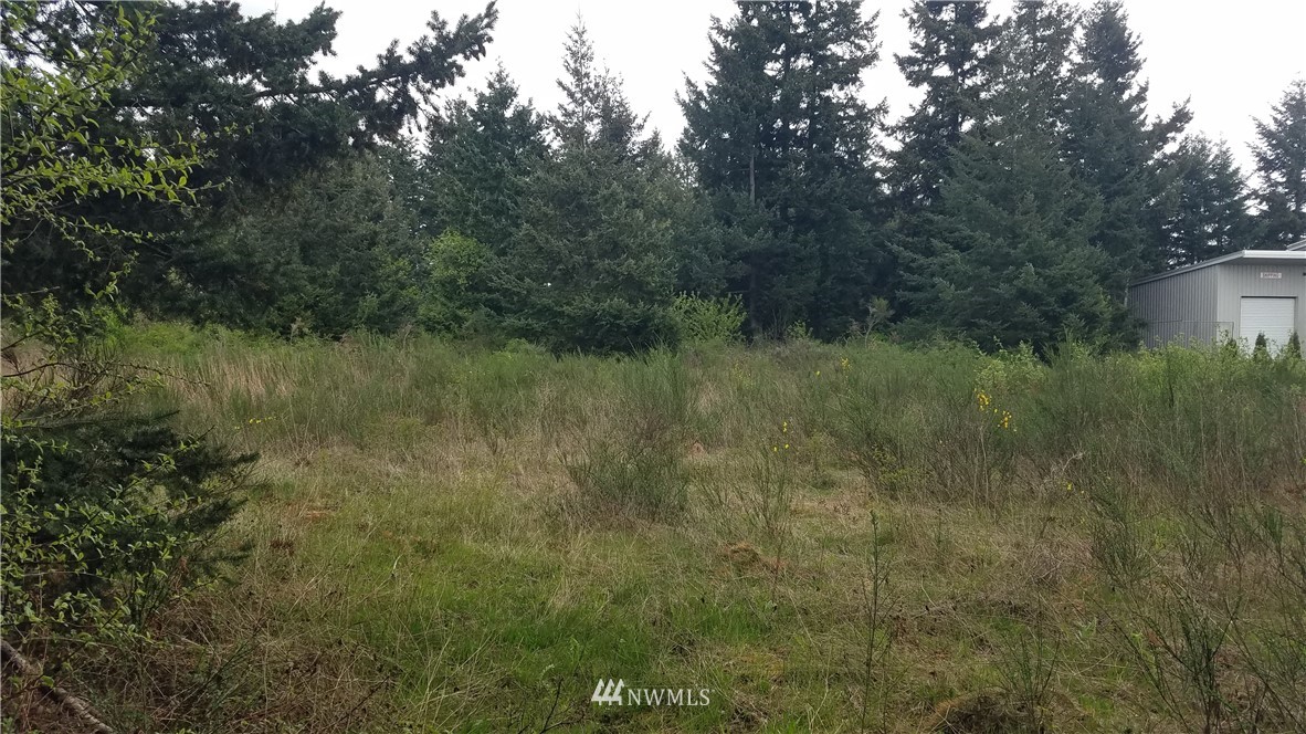 2665 Delta Ring Road Ferndale, WA 98248 - Photo 4 of 5 a view of a lush green forest