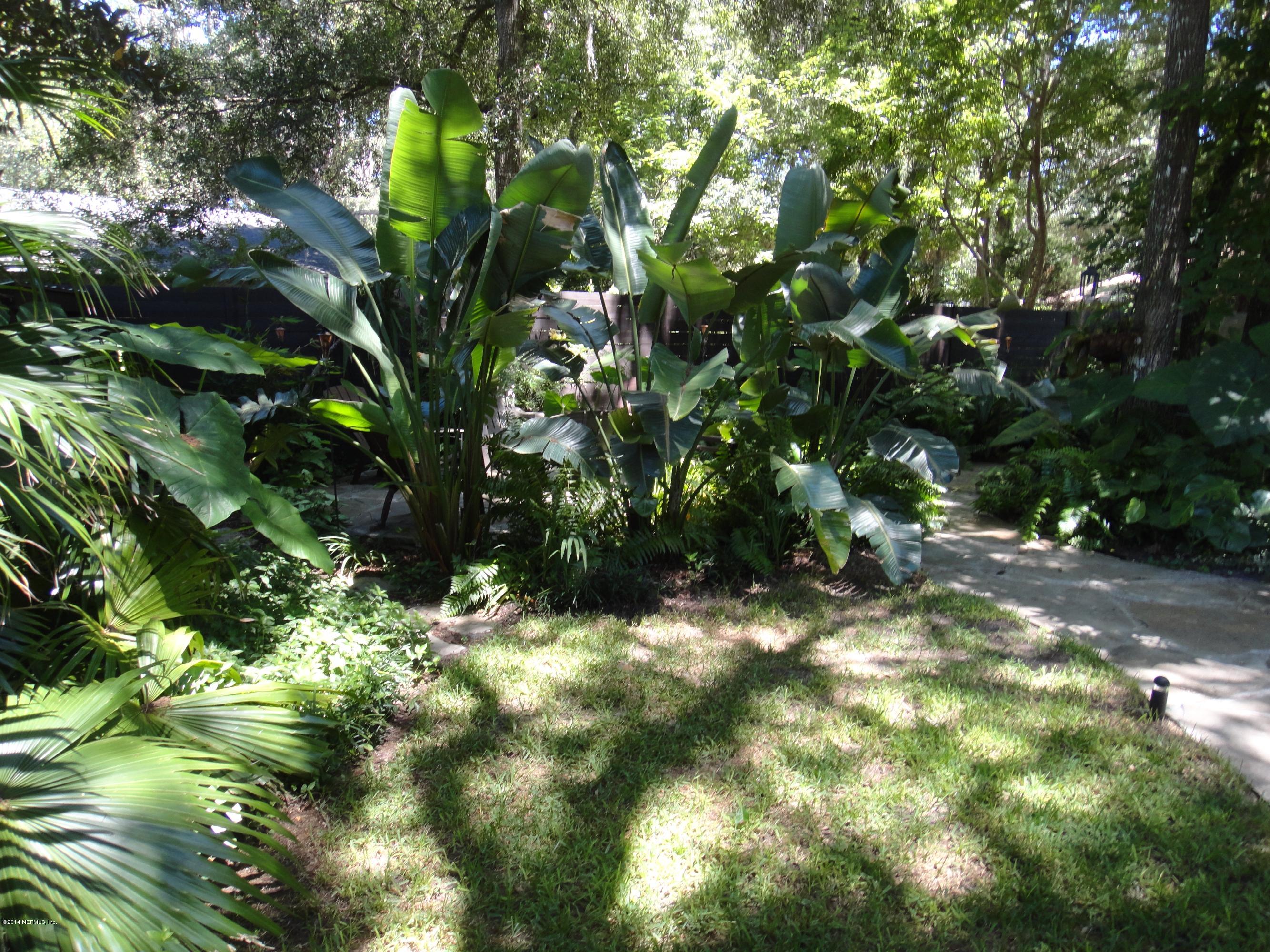 3256 Turtle Creek Road St. Augustine, FL 32086 - Photo 26 of 26 Tropical Foliage