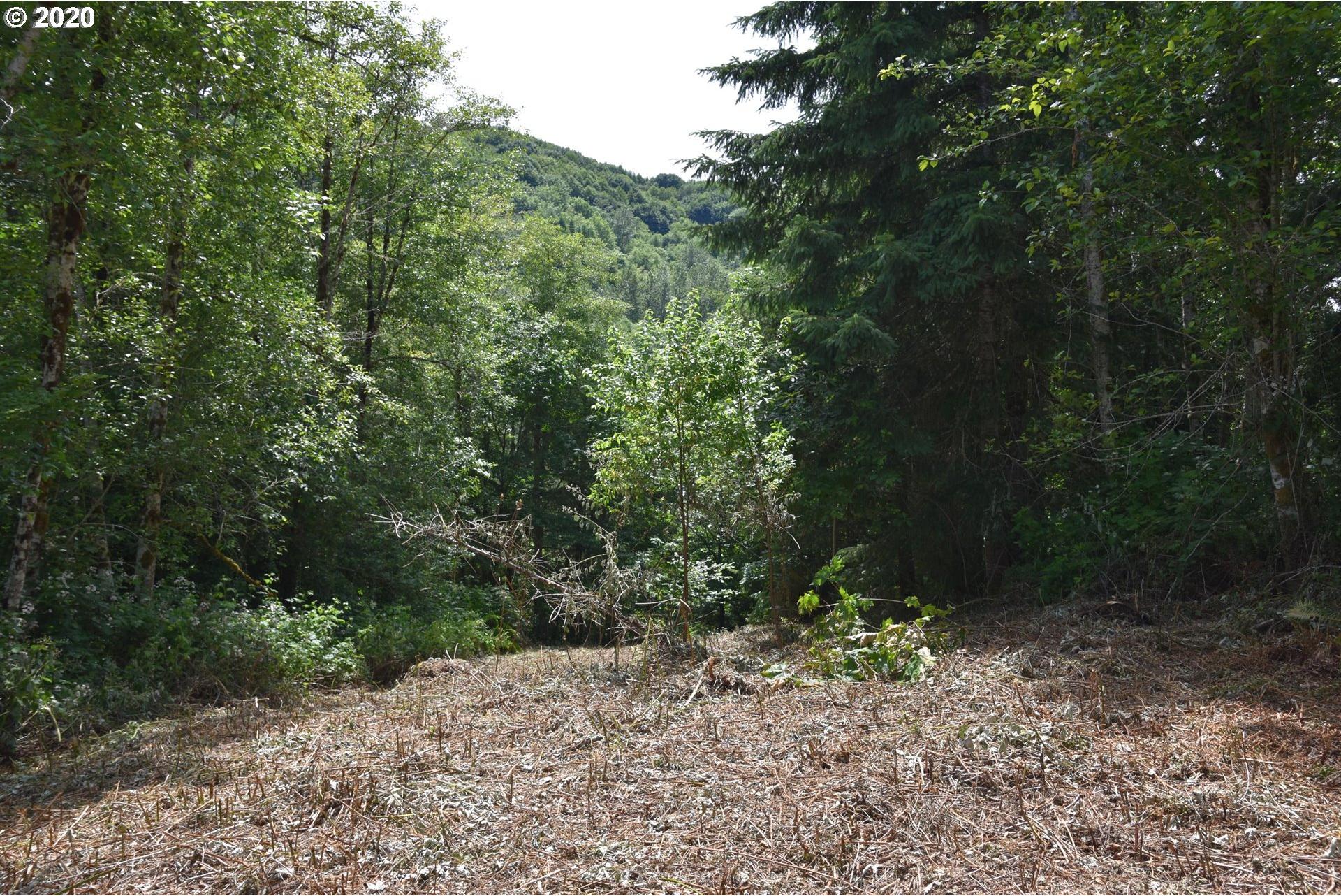 2128 Kalama River Road, Unit 1 Kalama, WA 98625 - Photo 9 of 24 Gallery Image 9