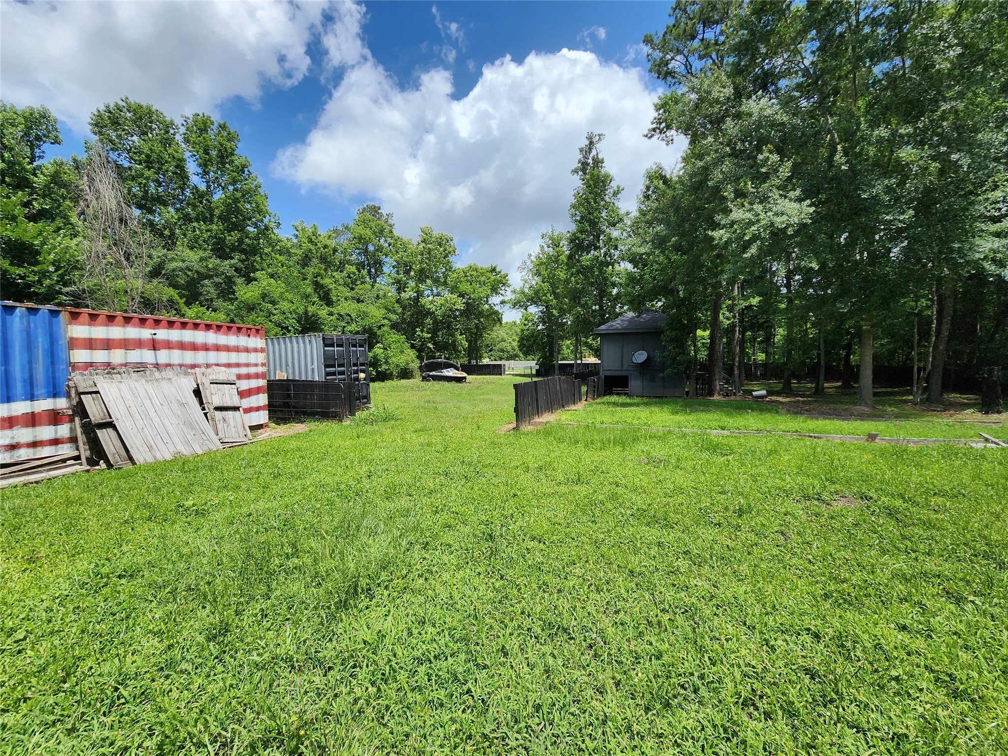 12123 Overhill Road Plantersville, TX 77363 - Photo 11 of 16