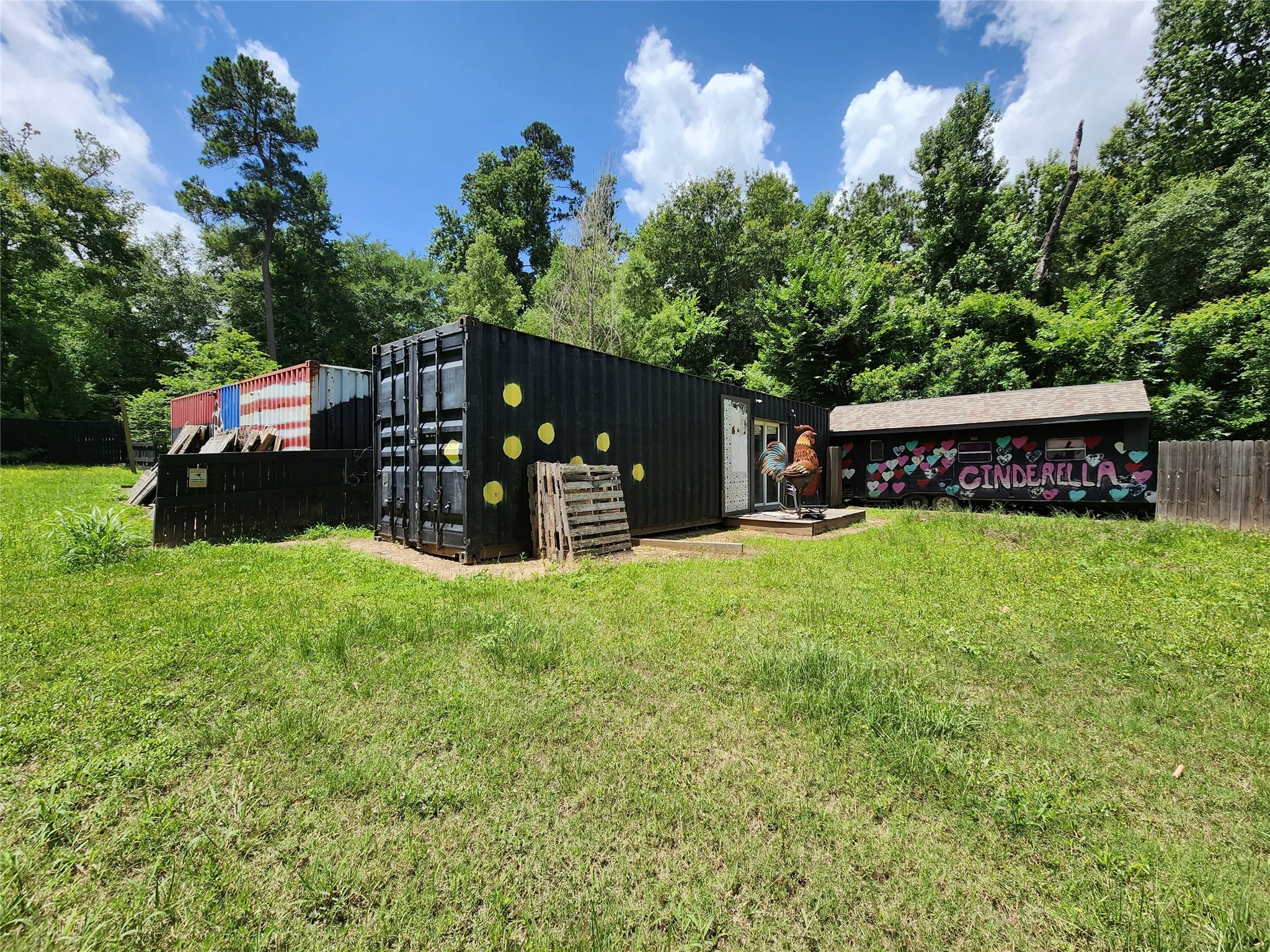 12123 Overhill Road Plantersville, TX 77363 - Photo 10 of 16