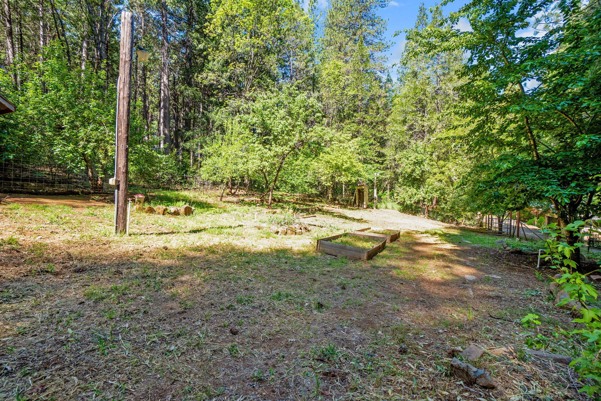 30303 Oak Run To Fern Road Whitmore, CA 96096 - Photo 53 of 75 a view of a yard with a tree