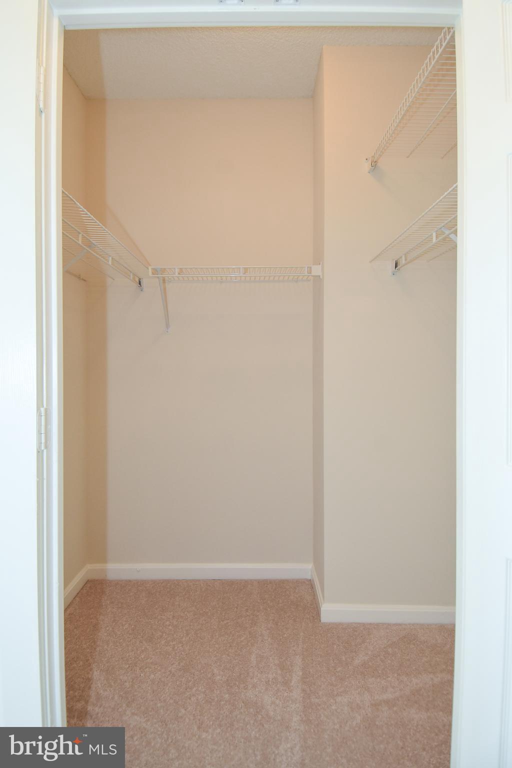 3200 North Leisure World Boulevard, Unit 407 Silver Spring, MD 20906 - Photo 24 of 38 Walk in closet in each bedroom