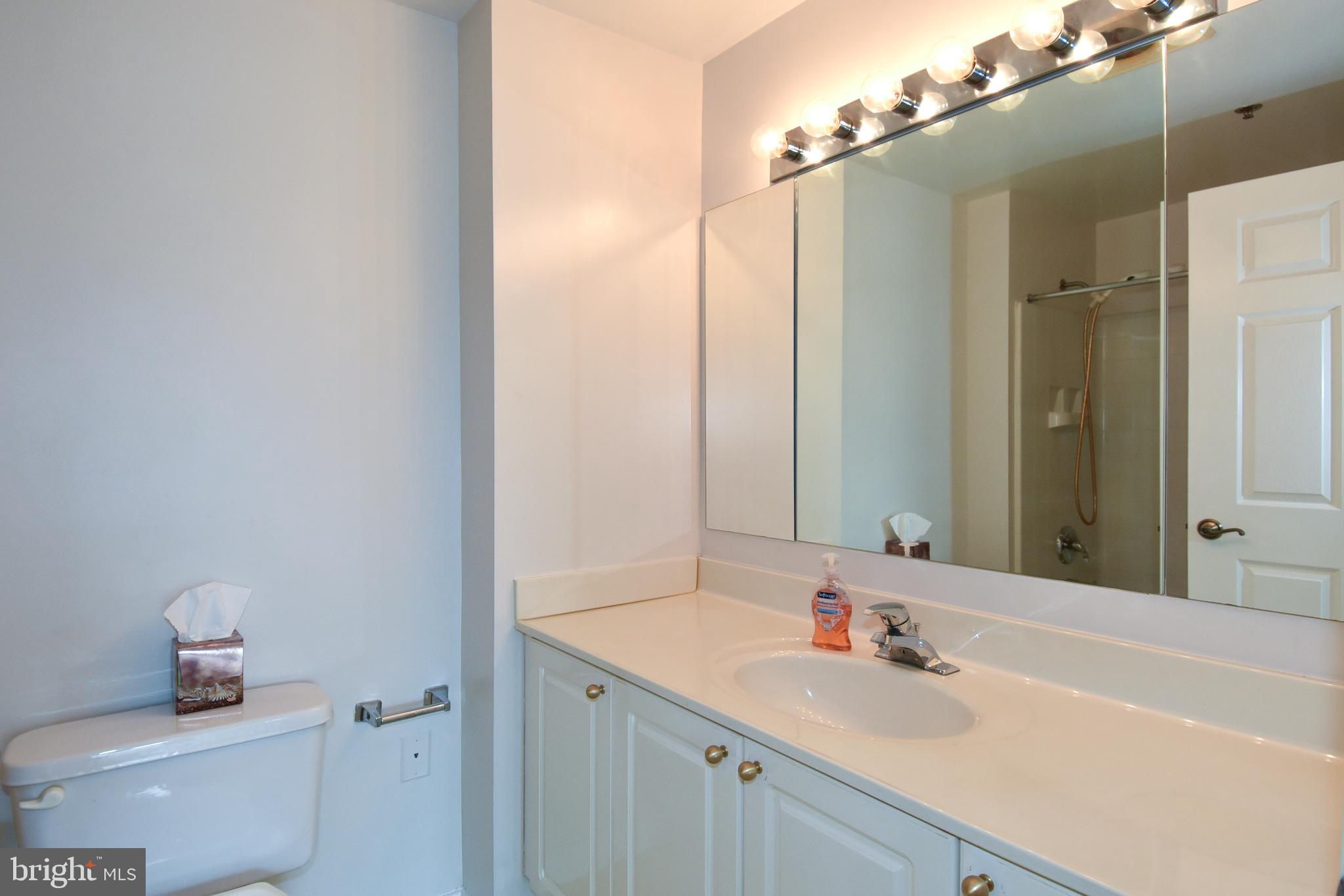 3200 North Leisure World Boulevard, Unit 407 Silver Spring, MD 20906 - Photo 25 of 38 Large, well lit hall bath
