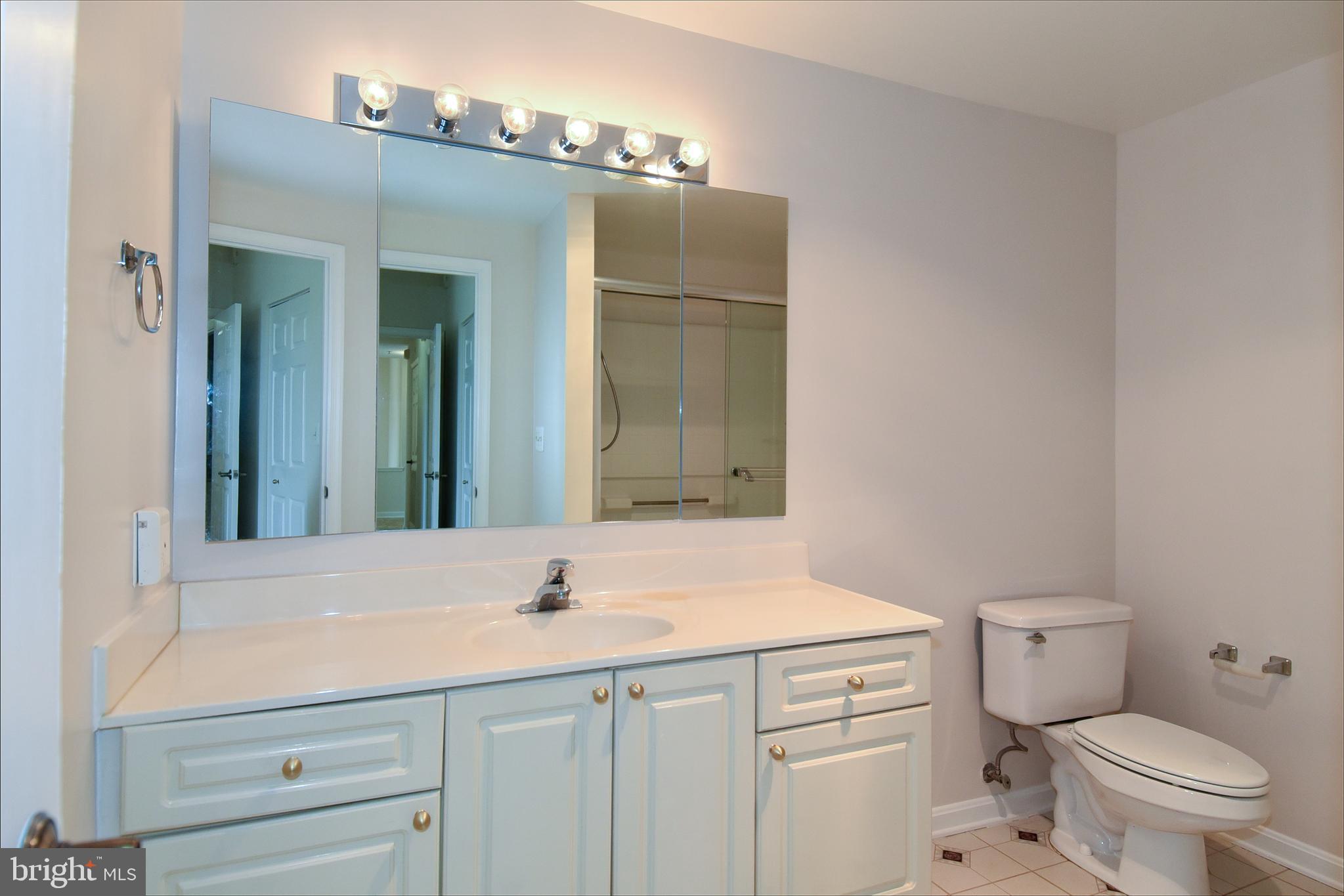 3200 North Leisure World Boulevard, Unit 407 Silver Spring, MD 20906 - Photo 29 of 38 Primary bedroom en-suite full bath