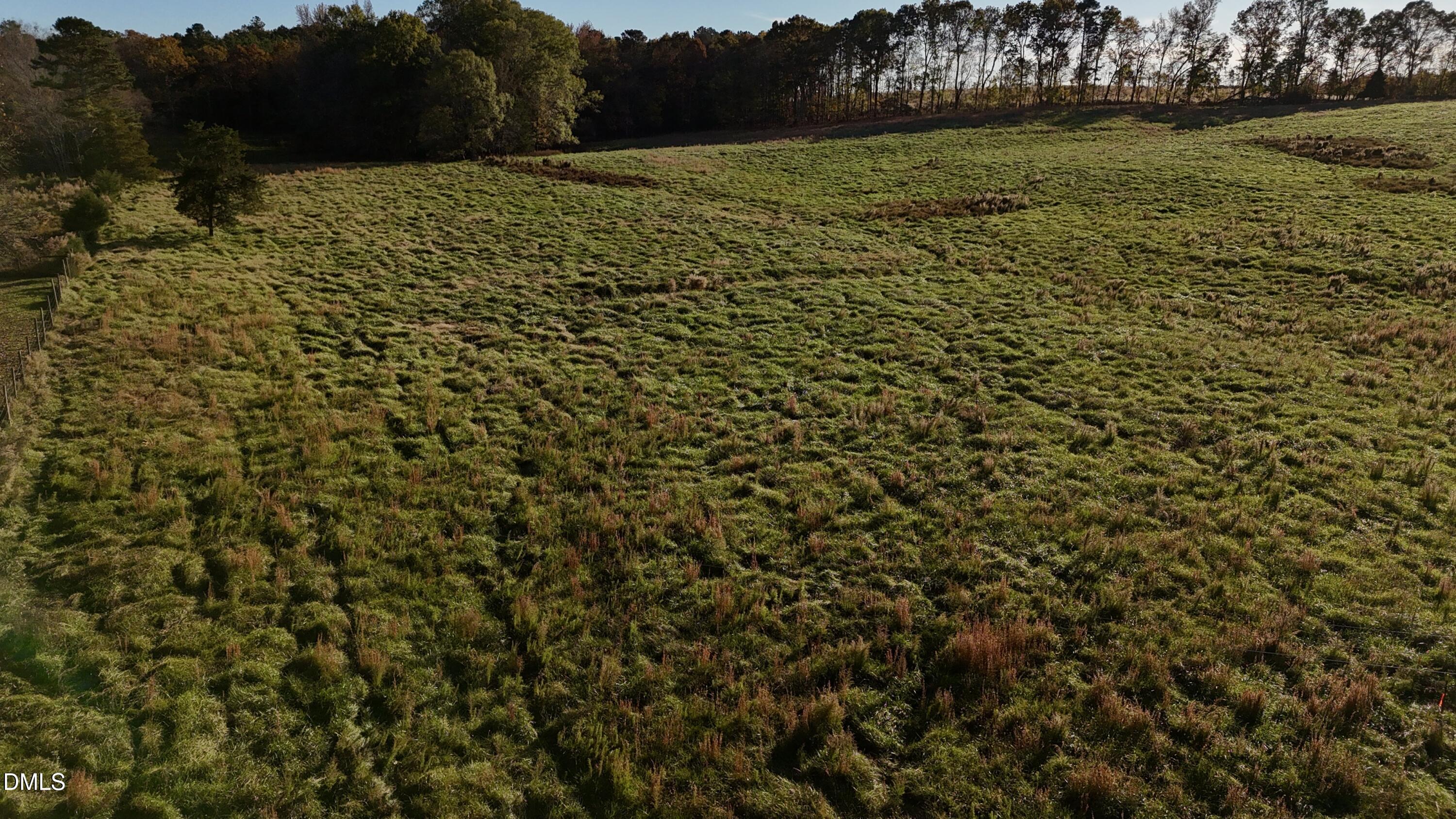367 Gilliland Road Siler City, NC 27344 - Photo 15 of 15 a view of outdoor space and yard