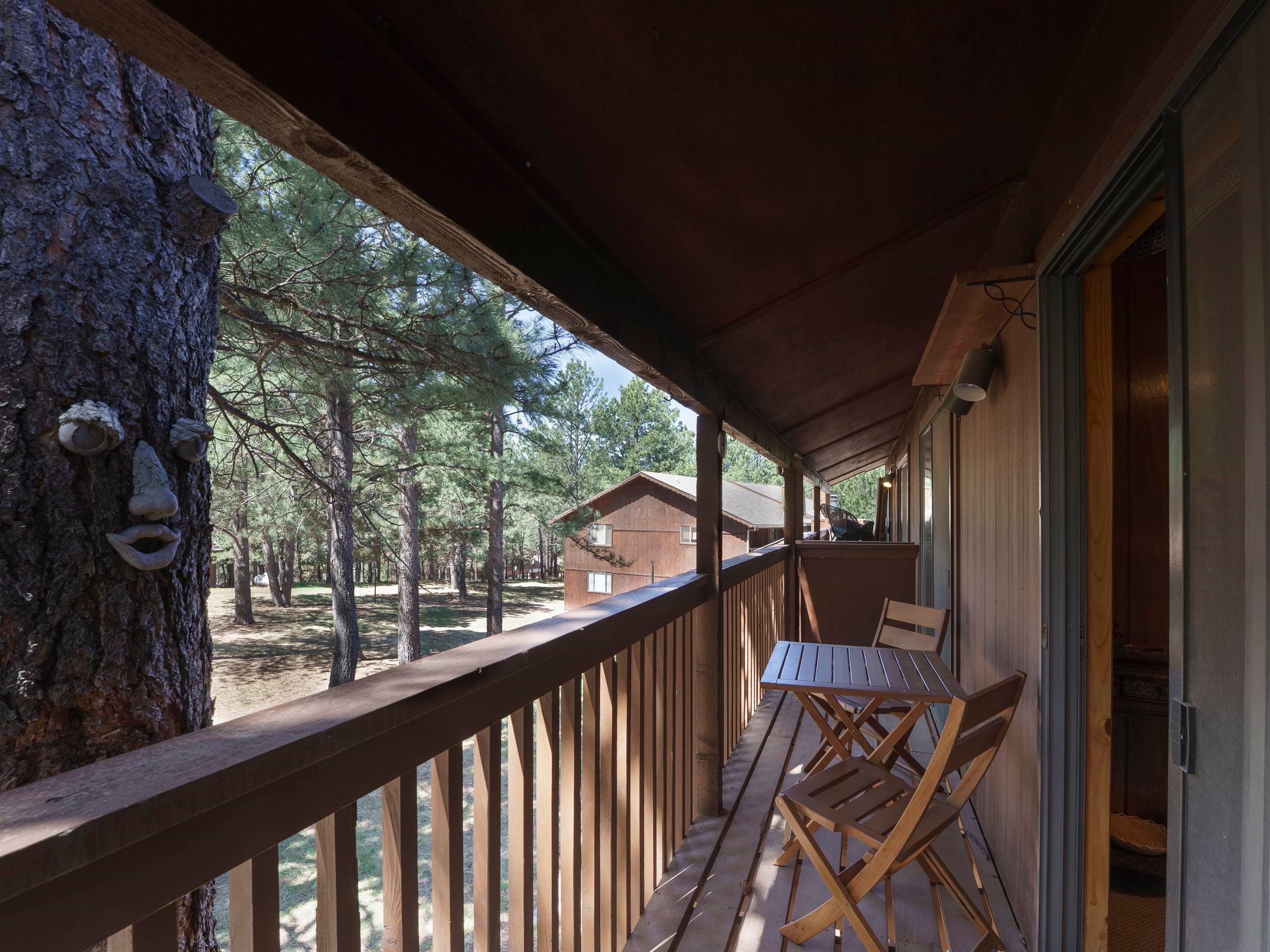 44 Mammoth Mountain Road, Unit 17 Angel Fire, NM 87710 - Photo 30 of 33 Gallery Image 30