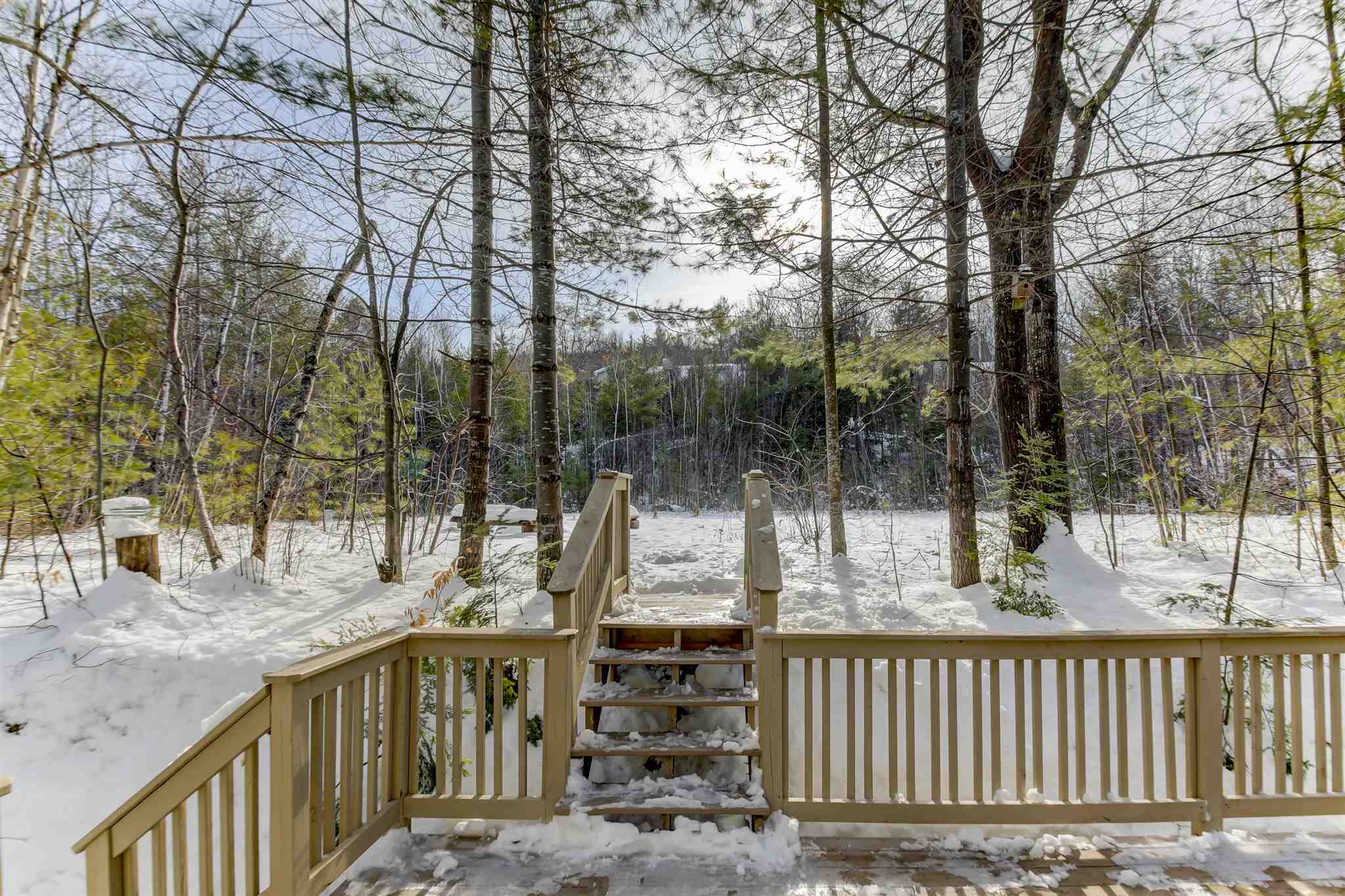 60 Gotzens Road Conway, NH 03818 - Photo 27 of 38